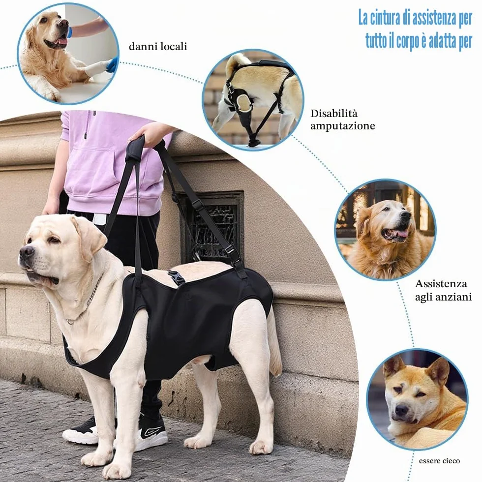Imbracatura Cani Supporto e Recupero Zampe Animali Domestici Vestibilità Regolabile per Cani Anziani Artrite (M)