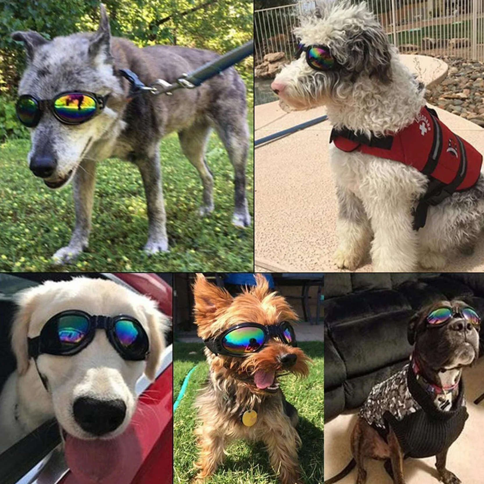 JIABEIUS - Occhiali da sole per cani, antivento, anti-appannamento, protezione UV, per gatti e cani di piccola taglia (rosa)