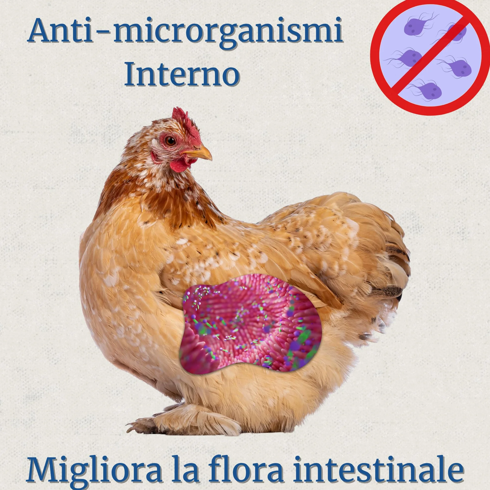 Inncare Preventivo Parassiti Interni Naturale 250 ml - Polli, Pollame ed Esotici - Estratto di Aglio e Oregano