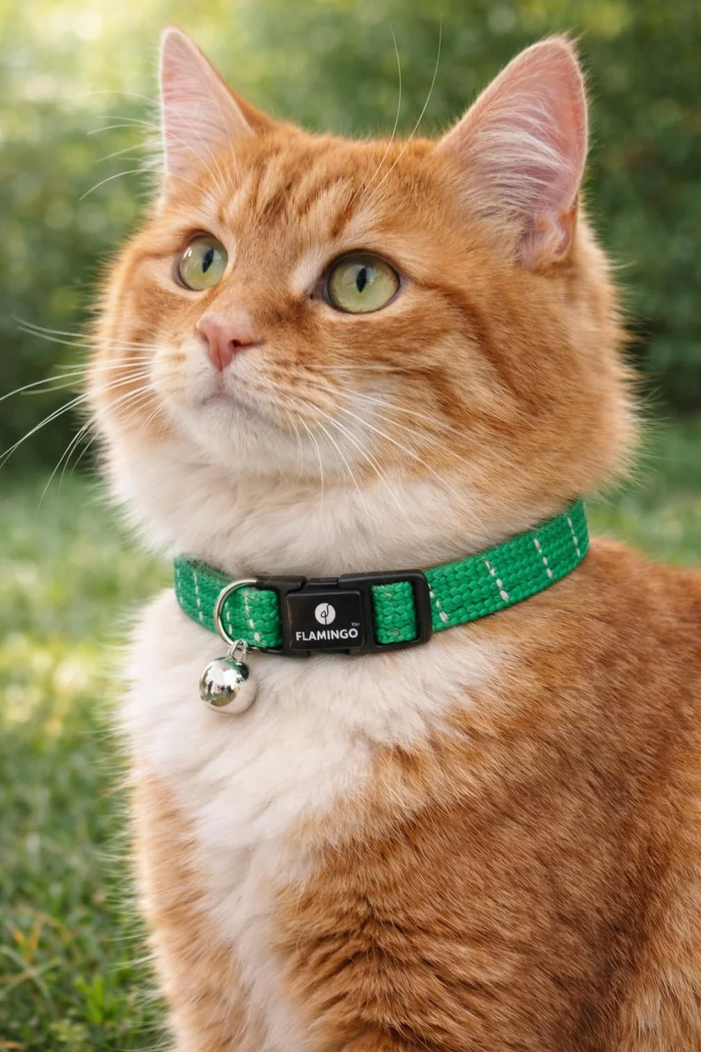 collare gatto - Elza verde 20–34 cm – nylon elastico riflettente con campanellino