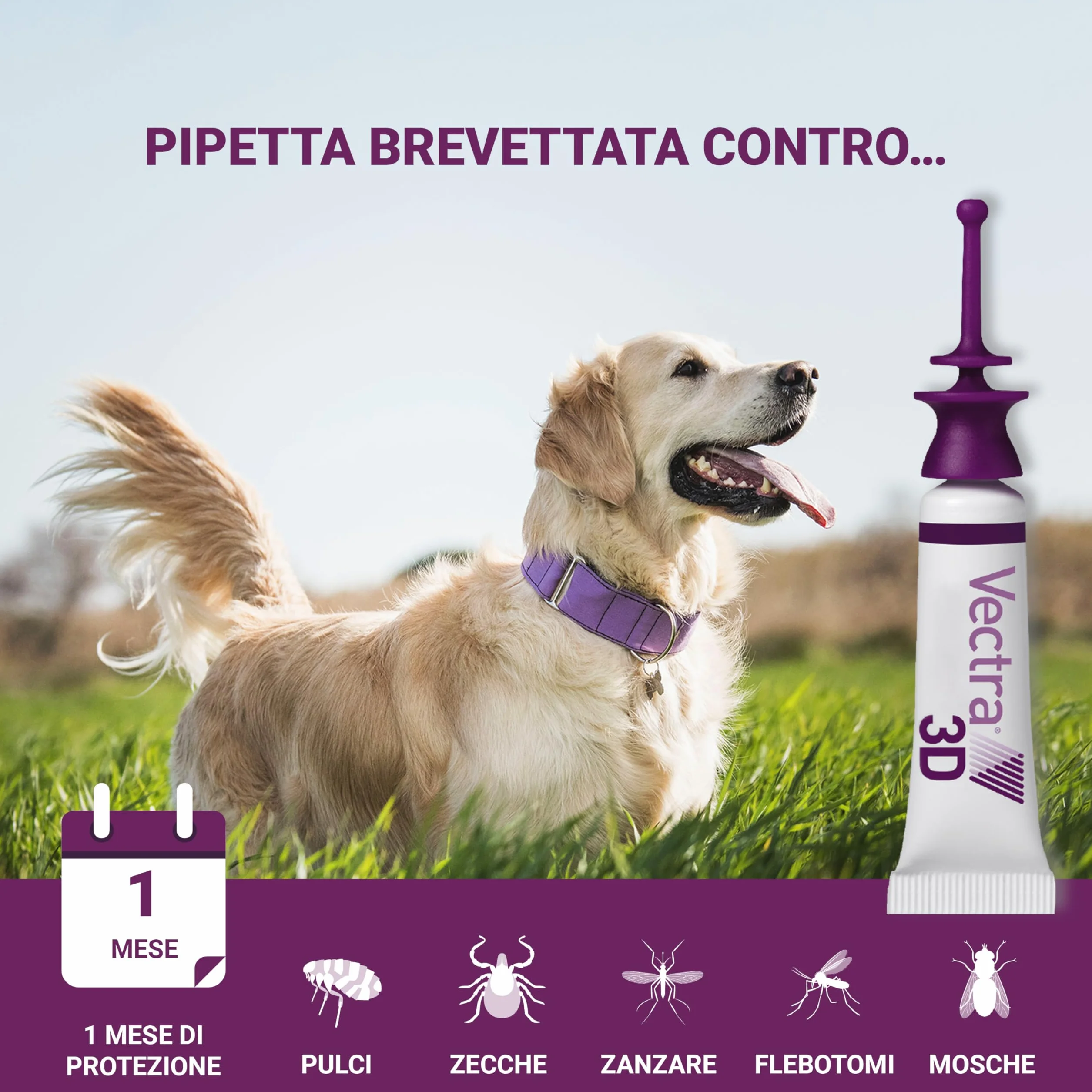 VECTRA 3D Antiparassitario per Cane 3 Pipette Antipulci Antizecche Antizanzare 4-10 kg