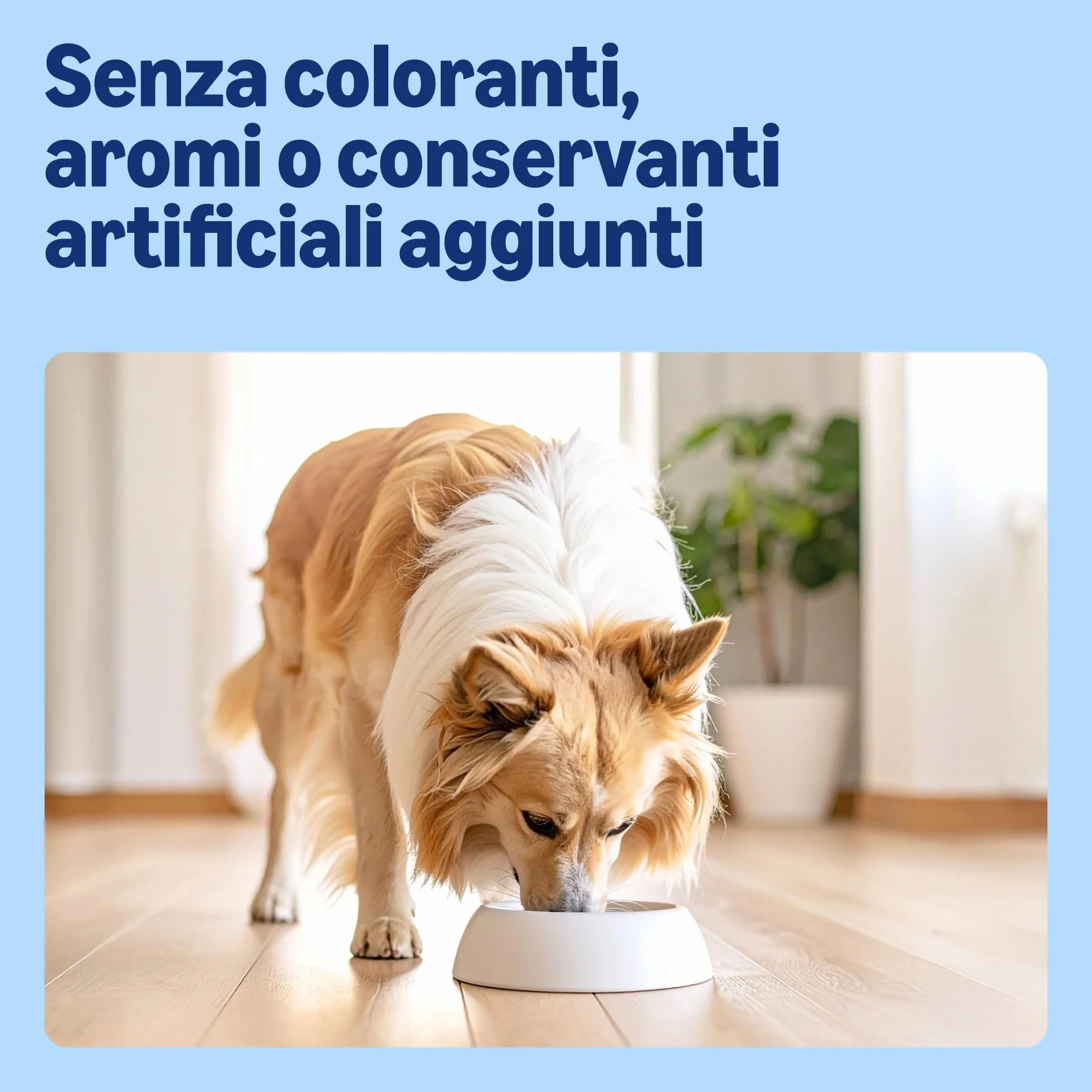 Amazon Alimento secco completo per cani adulti ricco di manzo con piselli 20 kg