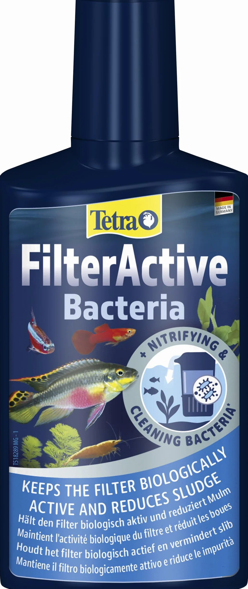 Tetra FilterActive 250 ml Batteri Vivi Attivano Filtro Riducono Accumulo Impurità Mantiene Biologicamente Attivo