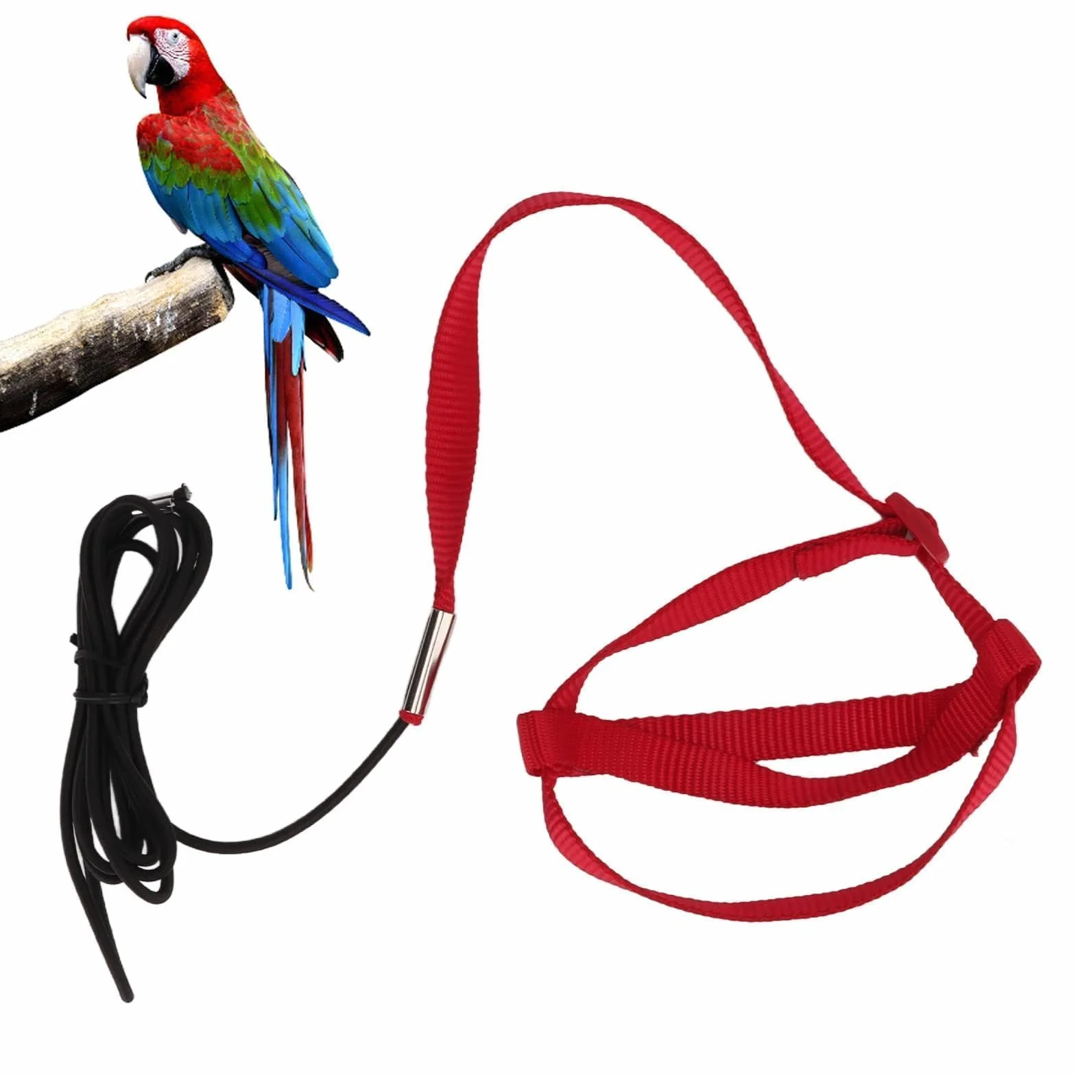 Pettorina Per Uccelli, Imbracatura Per Uccelli Guinzaglio Regolabile Per Pappagalli Guinzaglio Per Attività All'aria Aperta Corda Da Addestramento Cinghia Per Piccola Pappagallino