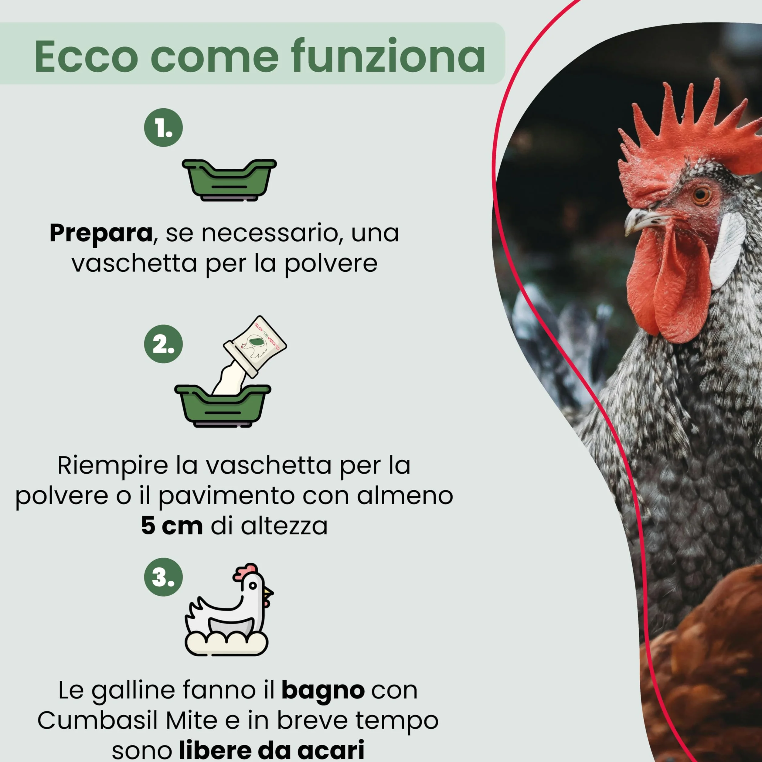 Bagno di polvere antiacaro per polli 25 kg, bagno di sabbia in polvere contro gli acari, rimedio antiacaro per polli, protezione antiacaro naturale, polvere