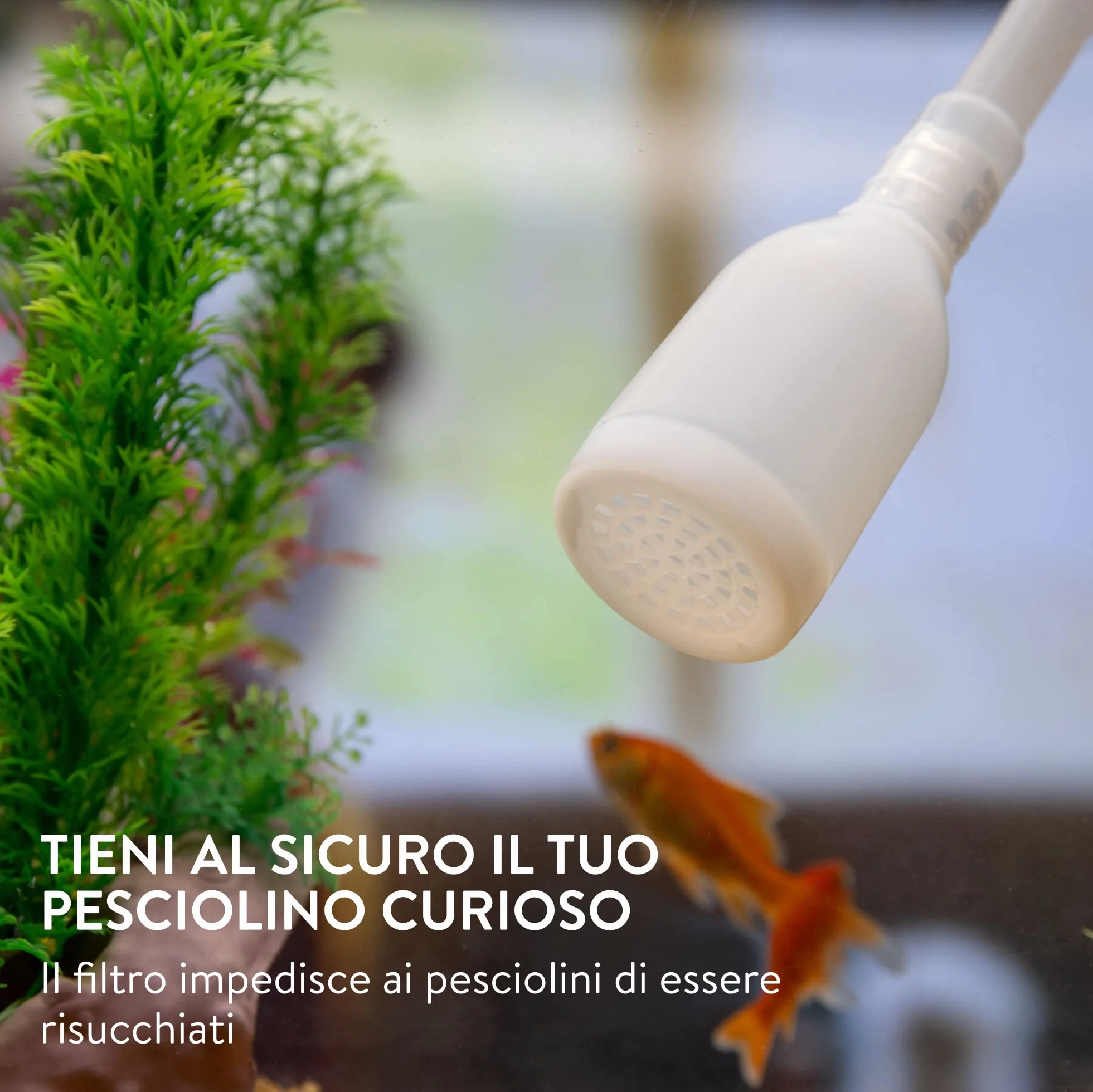 Luigi's Sifone Acquario Pompa Pulizia Acquario Manuale Aspirarifiuti Fondo Svuotare Cambiare Acqua Aspiratore Veloce Sicuro Accessori Acquari Pesci Rossi