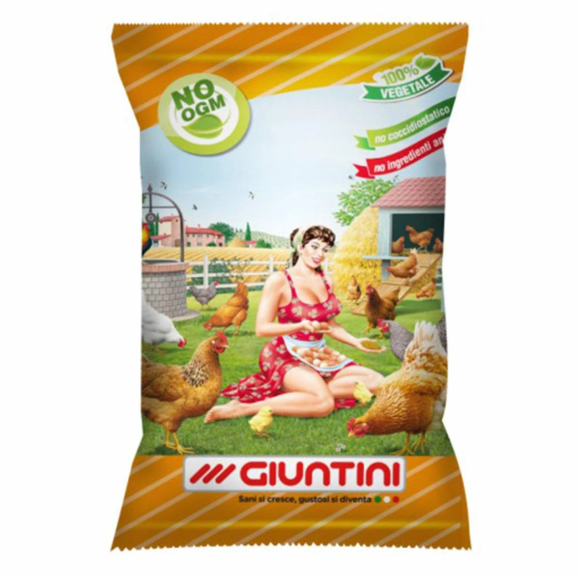 Giuntini Linea Agri Coccodoro 25kg Micronizzato No OGM No COCCIDIOSTATICO mangime per Galline ovaiole con granaglia, aggiunta di gusci d'ostriche Alta qualita' ed Erba Medica