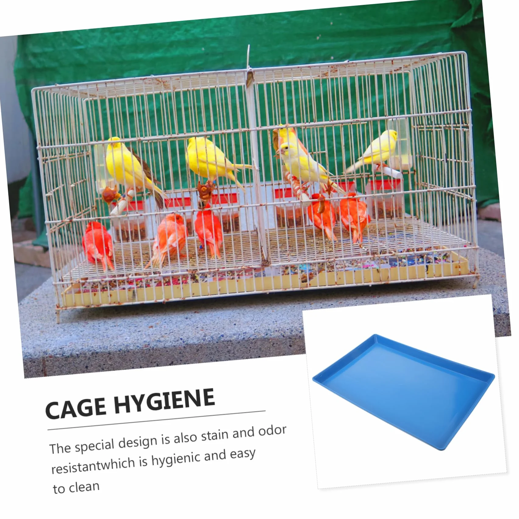 Porta Traversina per Cestino Animali Domestici Plastica Blu, per Gabbie Cani, Facile da Pulire