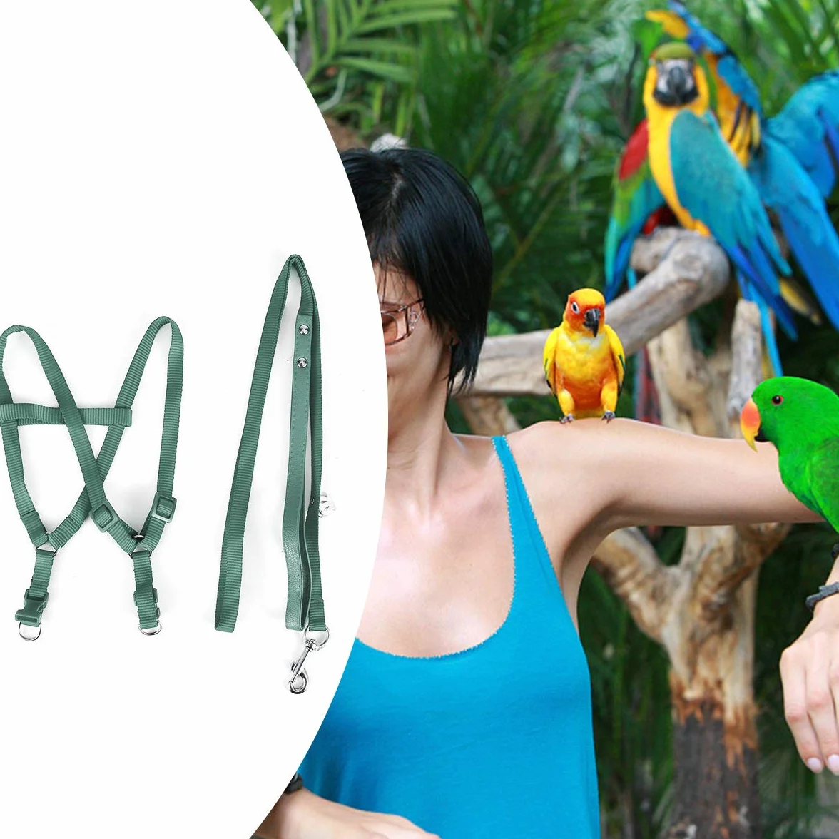 Guinzaglio per Uccelli Regolabile e Guinzaglio Per Uccelli Accessori Essenziali Per Esterni Volante Adatto Per Ara Scarlatto Sole Conure Pappagallo Cockatiel