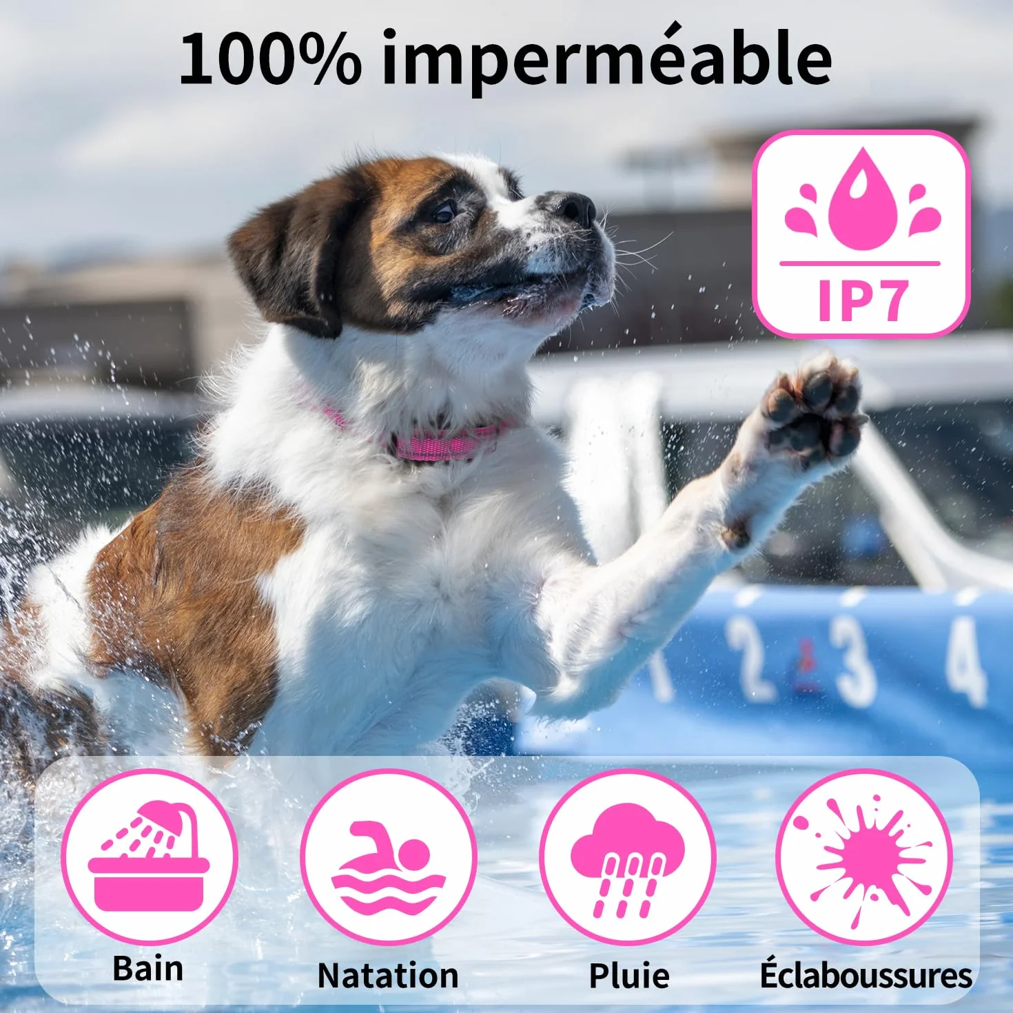 Collier de Dressage Pour Chien sans Choc - Collier Vibrant Pour Chien, Portée 1000m, 9 tonnellate e modalità di vibrazione, Pour Chiens Petit, Moyen et Grand - senza Douleur