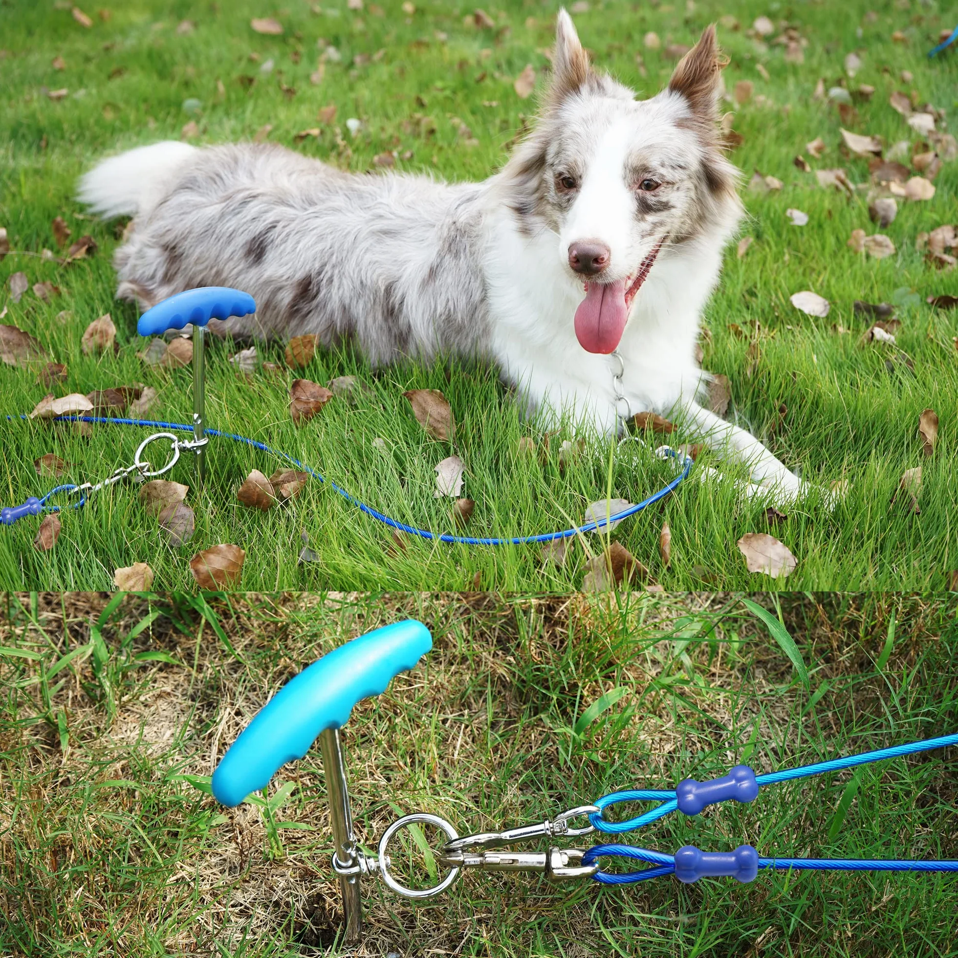 Petphabt - Cavo resistente per cani da 3 m, con spirale per cani da 16 cm, per cuccioli, animali domestici, guinzaglio per esterni (verde acqua)