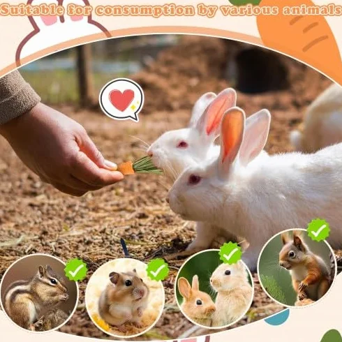 Crocchette da masticare per conigli - Biscotti all'erba alfalfa e carota per piccoli animali domestici - Snack di fieno di fleolo per conigli, porcellini d'India e criceti - Giocattoli da mas