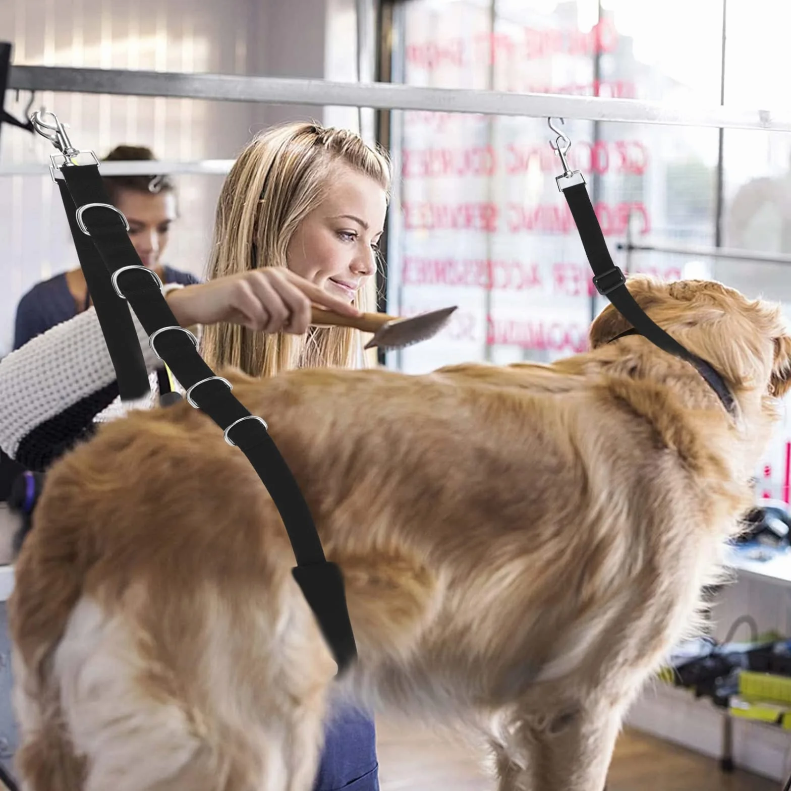 3 Pezzi Toelettatura del Cane Cinghia per la Pancia,Cappio Dell'animale Domestico, Cappio per Cani Toelettatura, Cintura di Trazione Regolabile per Cuccioli Gattini Piccoli Medi Gatti Cani Taglio