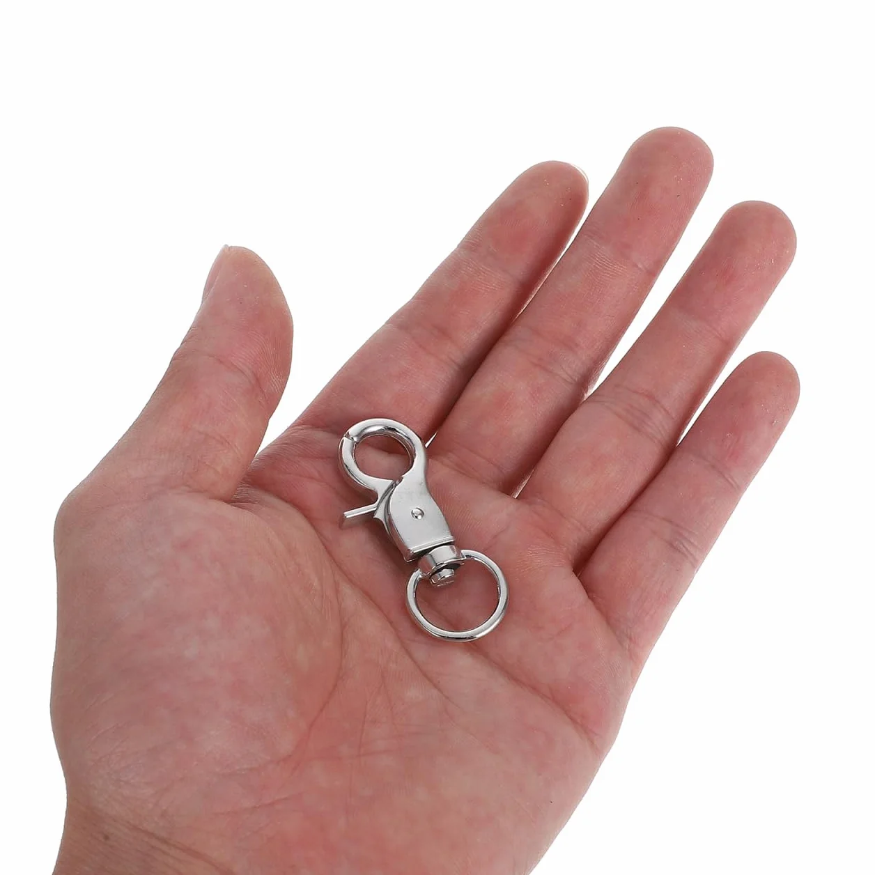 Beavorty 5 Pezzi Blocco Gabbia per Uccelli serrature per Porta di Gabbia di Coniglio Accessori per Uccelli per Gabbie chiusure di Aragosta Gancio Piccolo Lucchetto per Gabbia per Uccelli Pappagallo