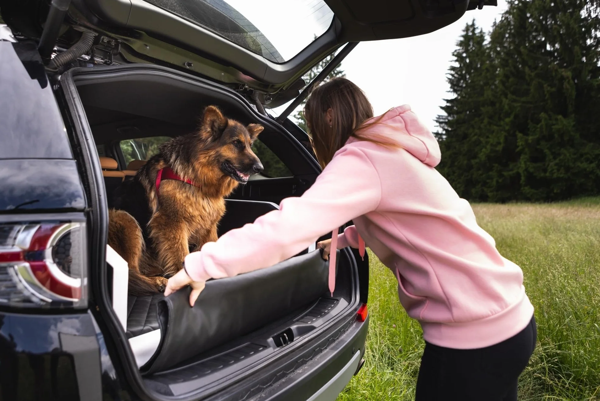 Velinda Trasportino Auto per Cani Materasso Bagagliaio Letto Macchina Cintura 100x70cm (Colore: Nero)