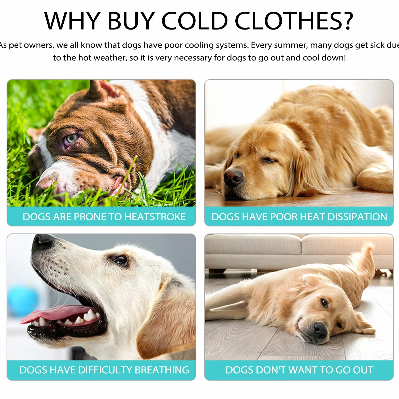 Gilet Rinfrescante per Cani, Giacca di Raffreddamento Traspirante, Protezione Solare UV Cappotto Rinfrescante Cane Attività Esterne (M)