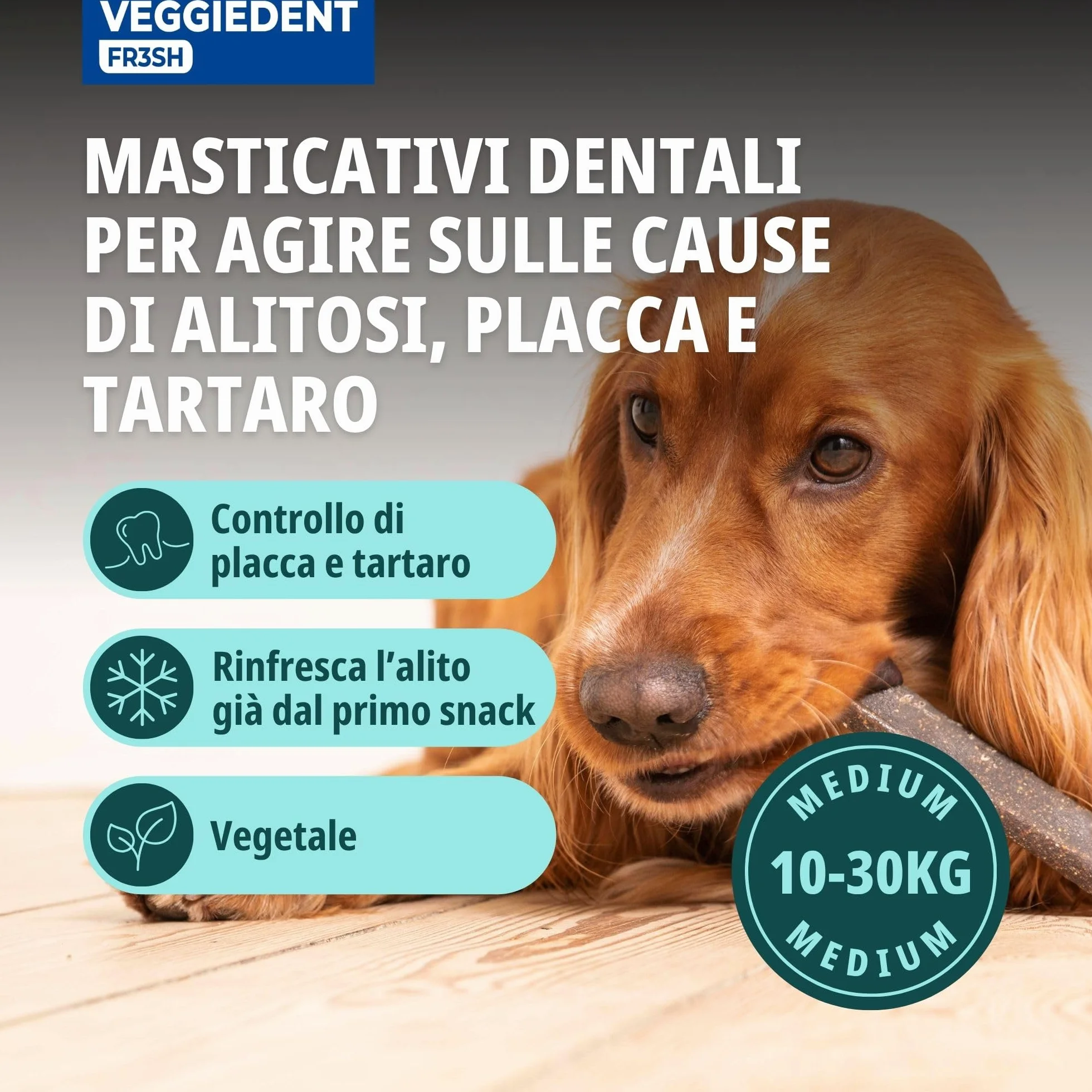 Virbac VeggieDent M - Strisce da masticare per cani di taglia media (da 10 a 30 kg), 3 x 15 strisce