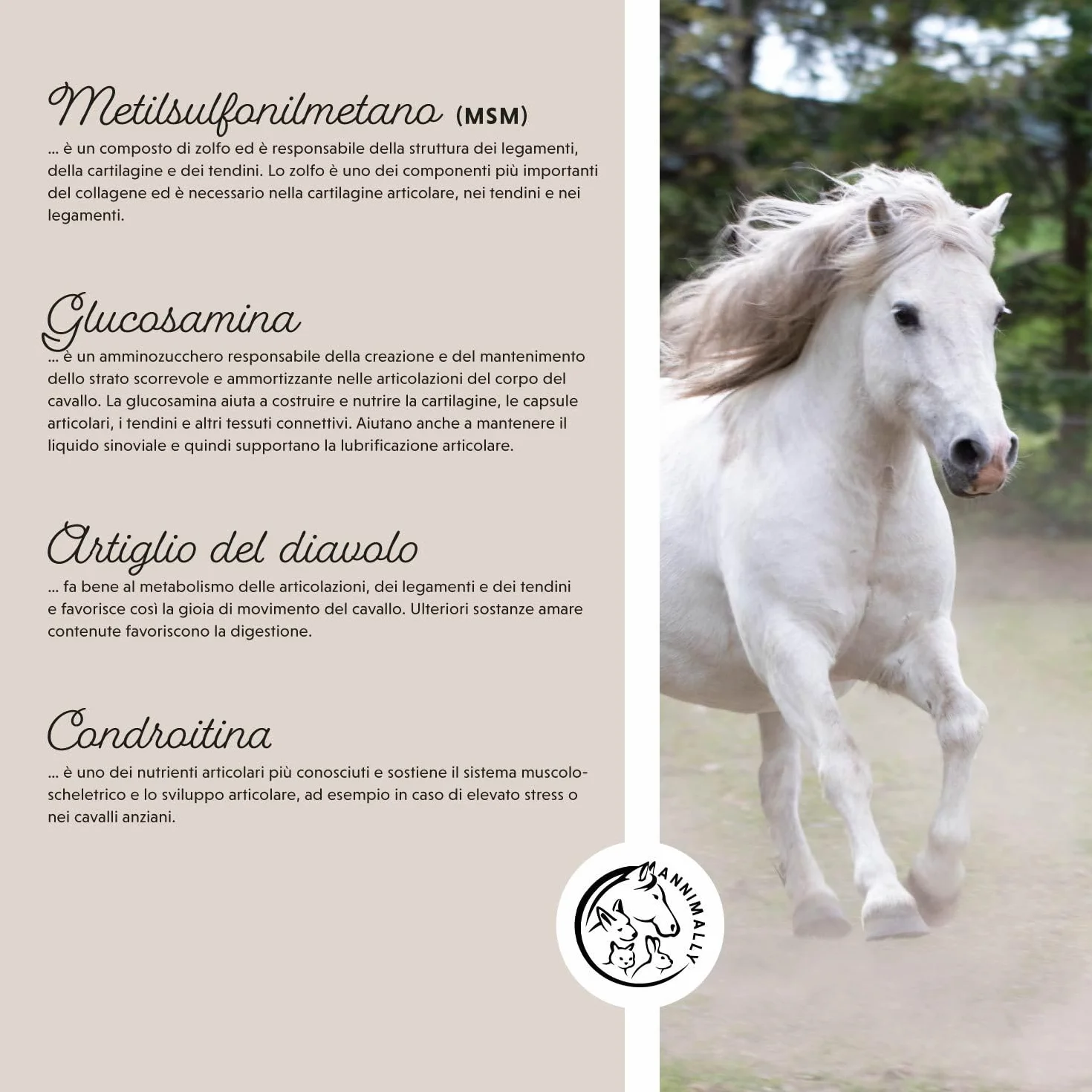 Polvere per le articolazioni dei cavalli 850g con artiglio del diavolo cavallo, MSM cavallo (Zolfo), Glucosamina e Condroitina - Msm integratore cavalli per il Rafforzamento delle Articolazi