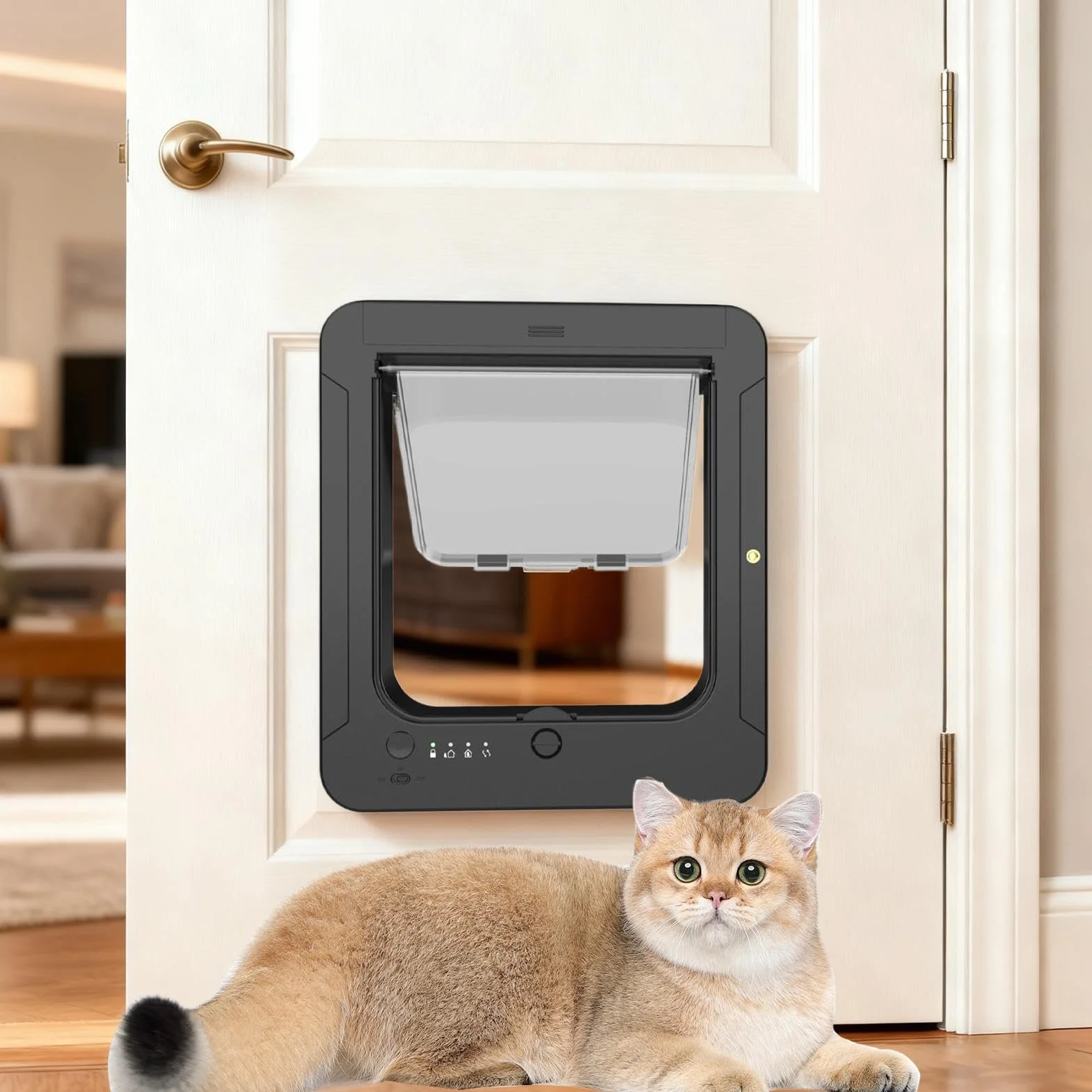 Porta per cani con microchip cancello elettronico a 4 vie telecomando 2 collari sensore controllo ingresso interni esterni