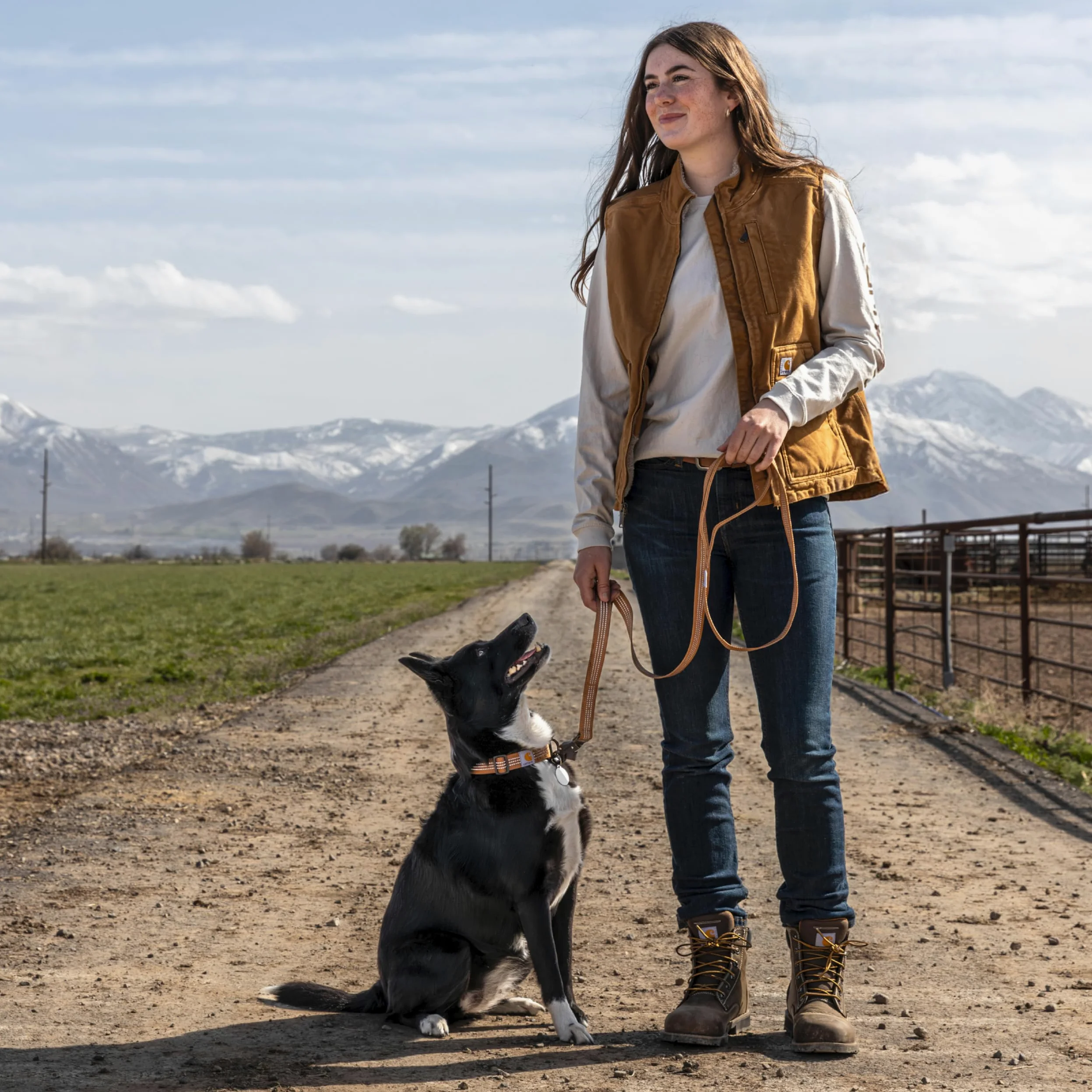 Carhartt Guinzaglio per cani a doppia maniglia, tessuto resistente 600 denari con hardware regolabile in metallo con anello a D, color vino profondo, grande