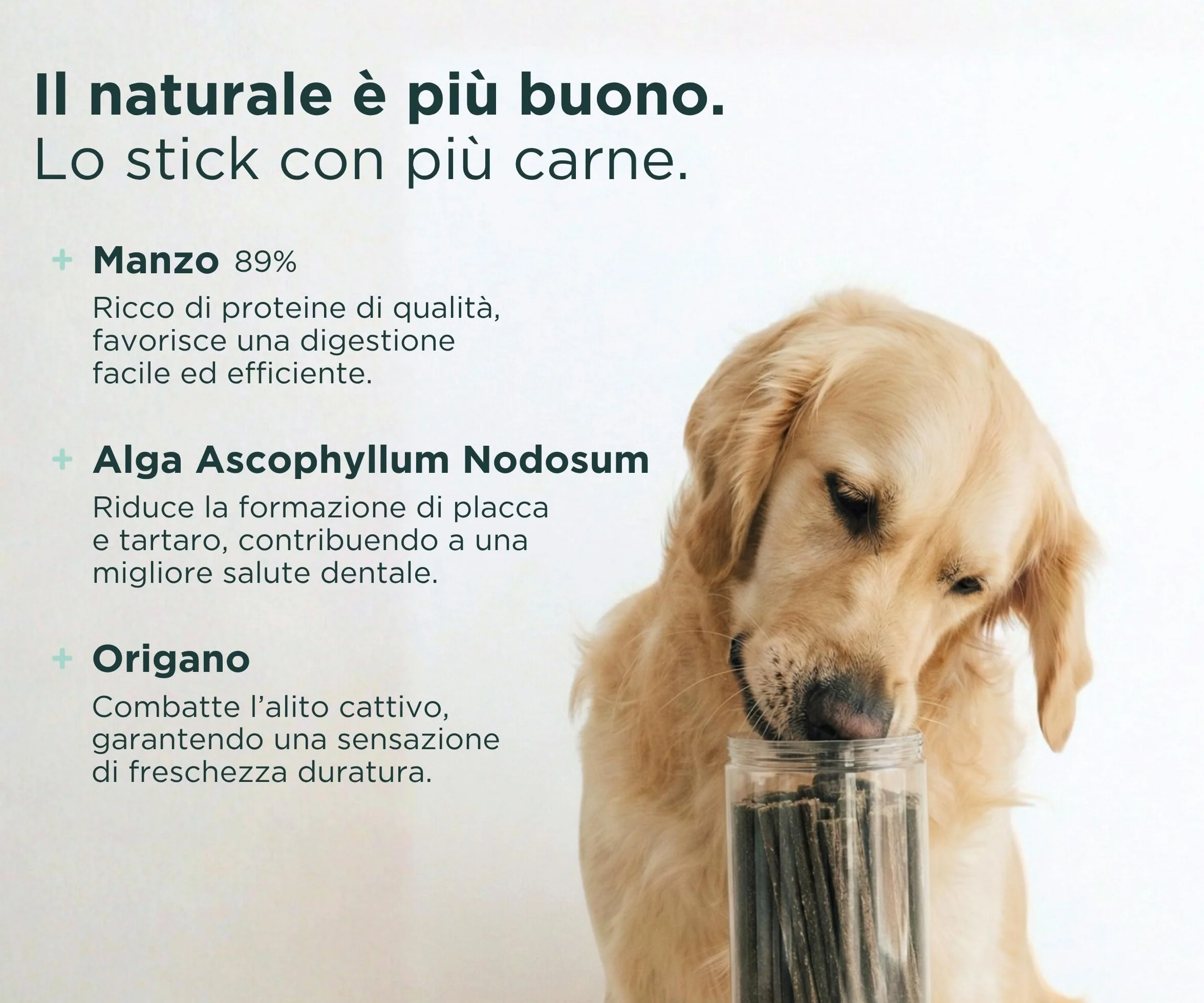 Wolf Belly - Dental Stick per Cani Naturali (28 pz) 89% Manzo Senza Cereali | Igiene Dentale & Alito Fresco | Ascophyllum Nodosum | Delizioso Sapore di Carne | Ricco di Proteine - Prodotto in Europa