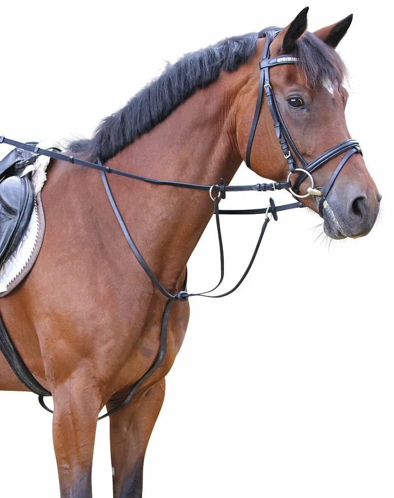 Kerbl Martingale Redini con fermate, nero