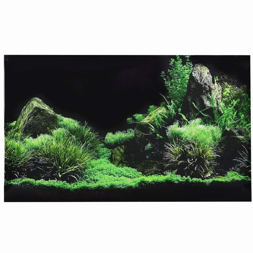 Buachois Adesivo per Acquario, Adesivo Decorativo per Acquario di Sfondo in PVC, Sfondo per Poster Adesivo per Pittura Subacquea in Erba(61 * 30cm)