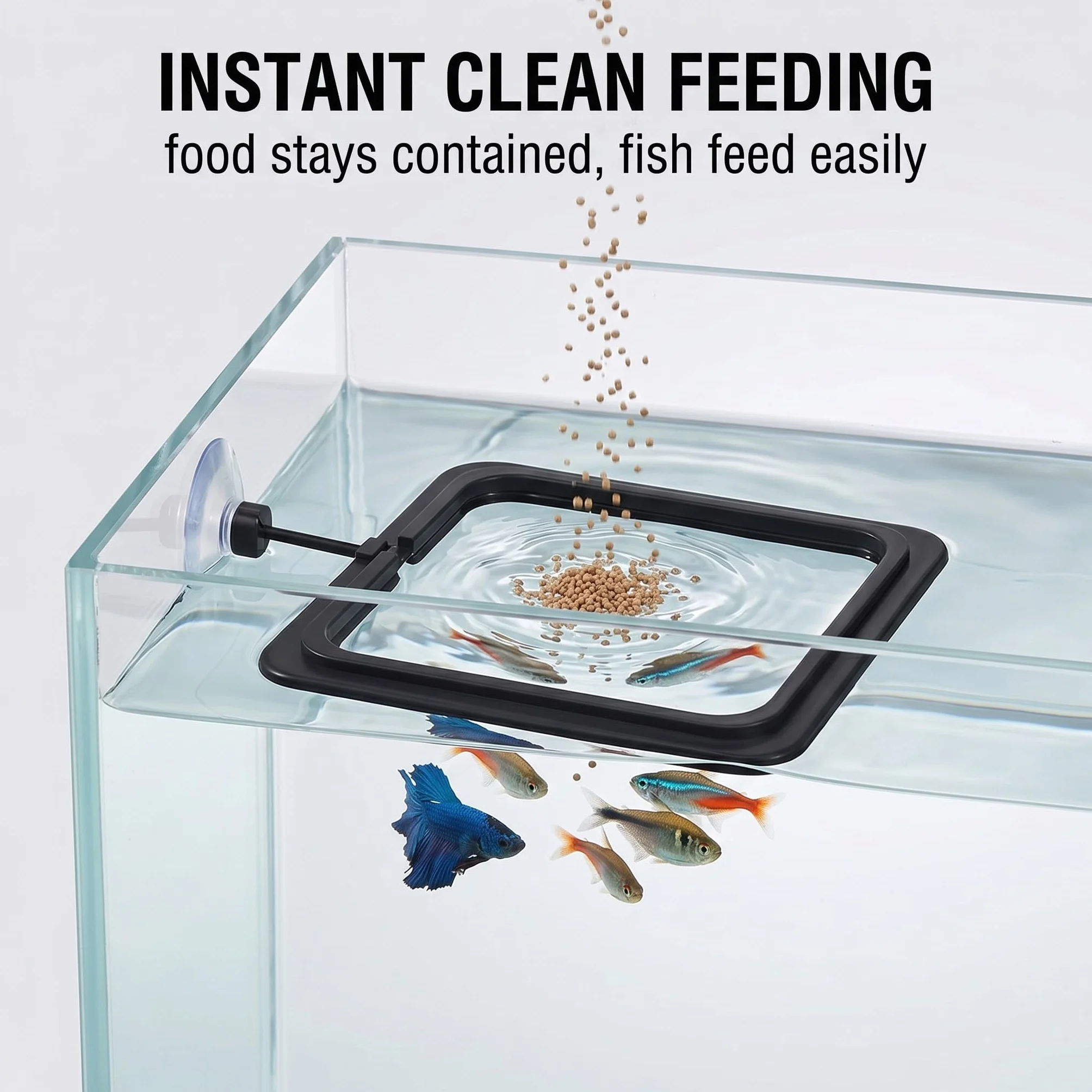 4 Pezzi Anelli di Mangime per Acquario, anello flottante tondo e quadrato per pesci, per betta, guppy e tartarughe, nero