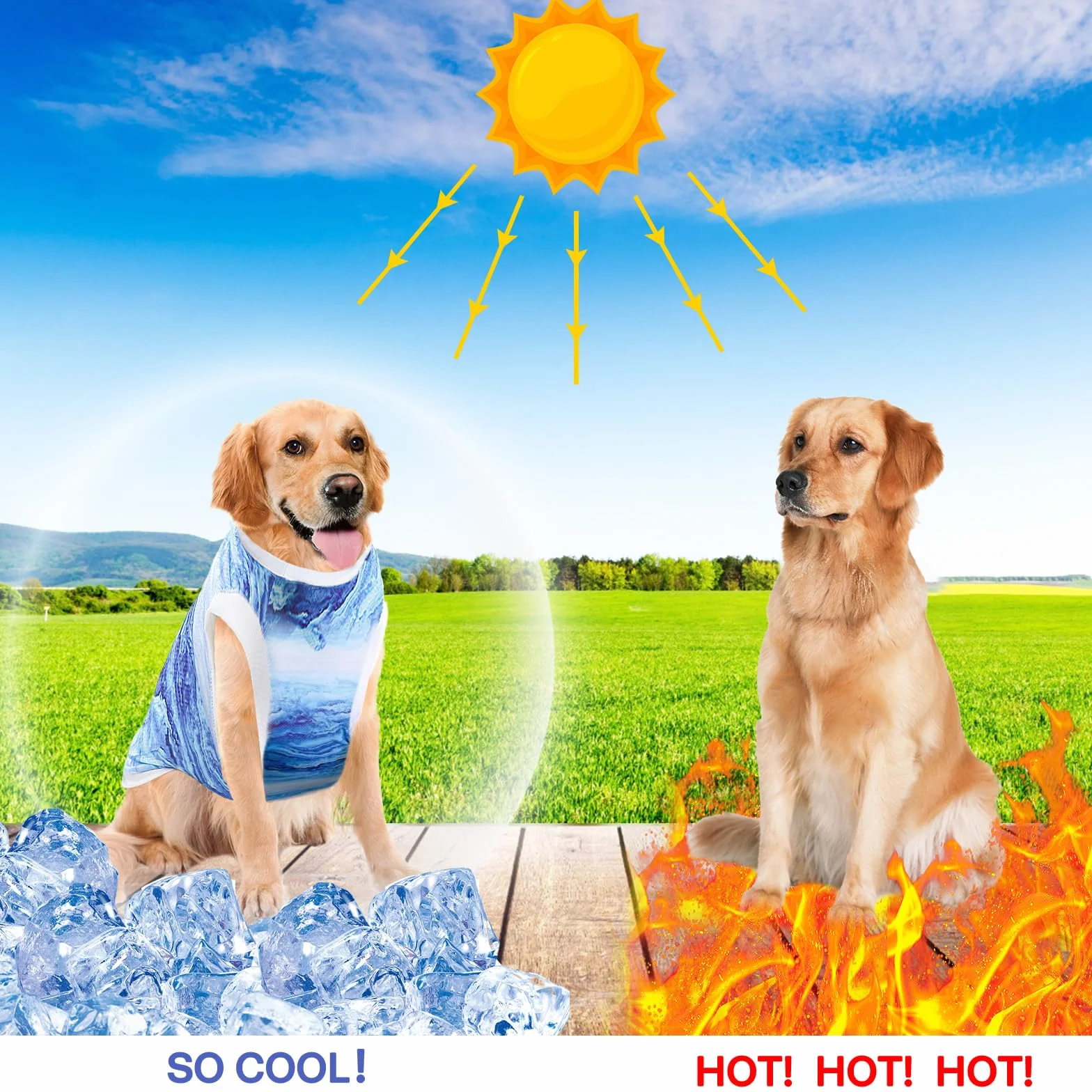 Gilet Rinfrescante per Cani Giacca Raffreddamento Tessuto Istantaneo Microfibra Blu XL