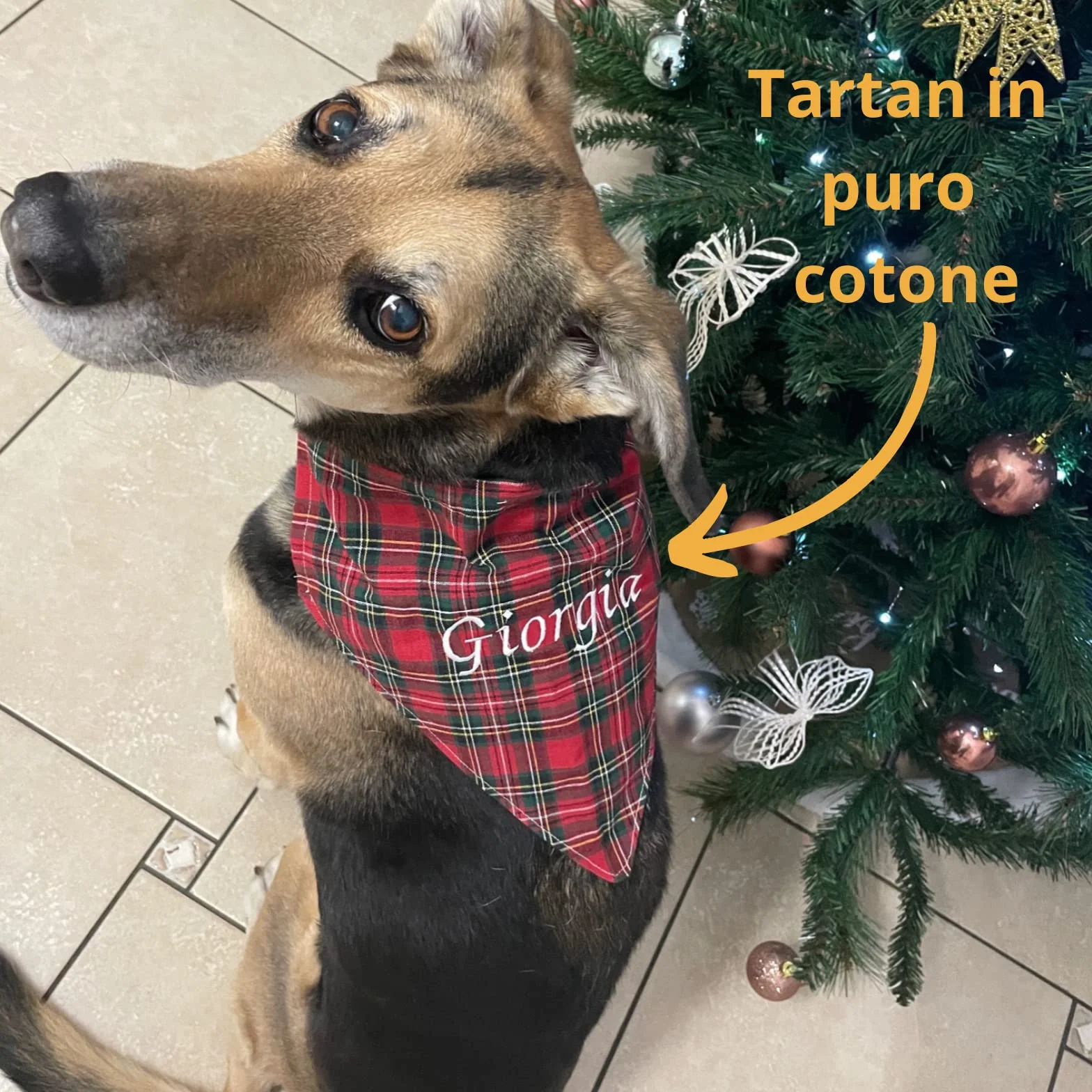 Personalizzata Bandana per cani Amici a quattro zampe Accessori