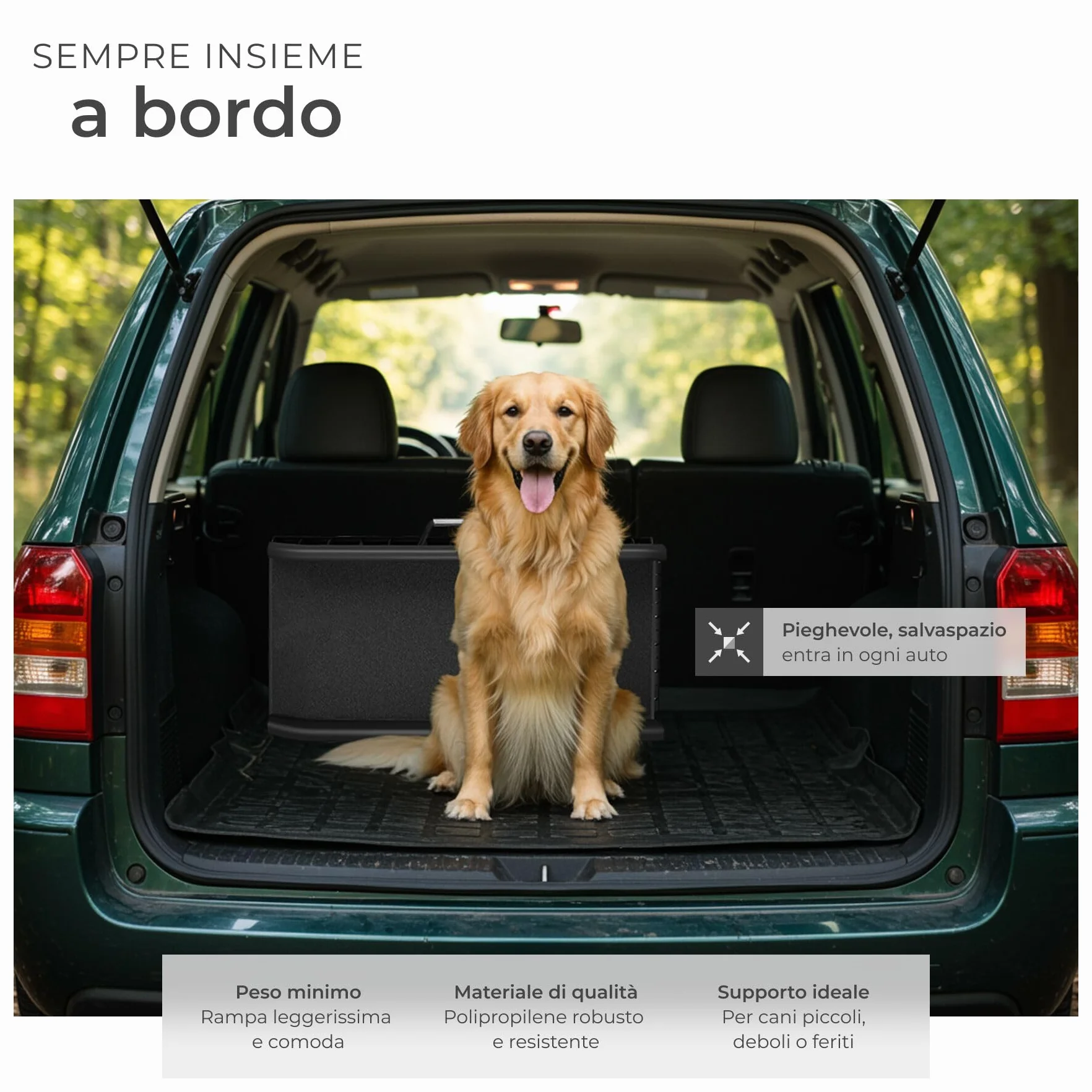 tectake Rampa per Cani Paw Step Richiudibile Antiscivolo Auto Pieghevole 90kg