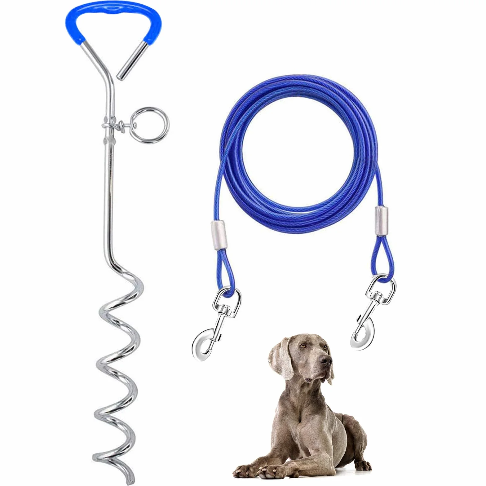 Supet Guinzaglio per Cane A 3 M/5 M/10 M con Picchetto Elicoidale A Terra - per Esterno Come Cortile E Campeggio - Adatto per Cani Piccoli E Medi