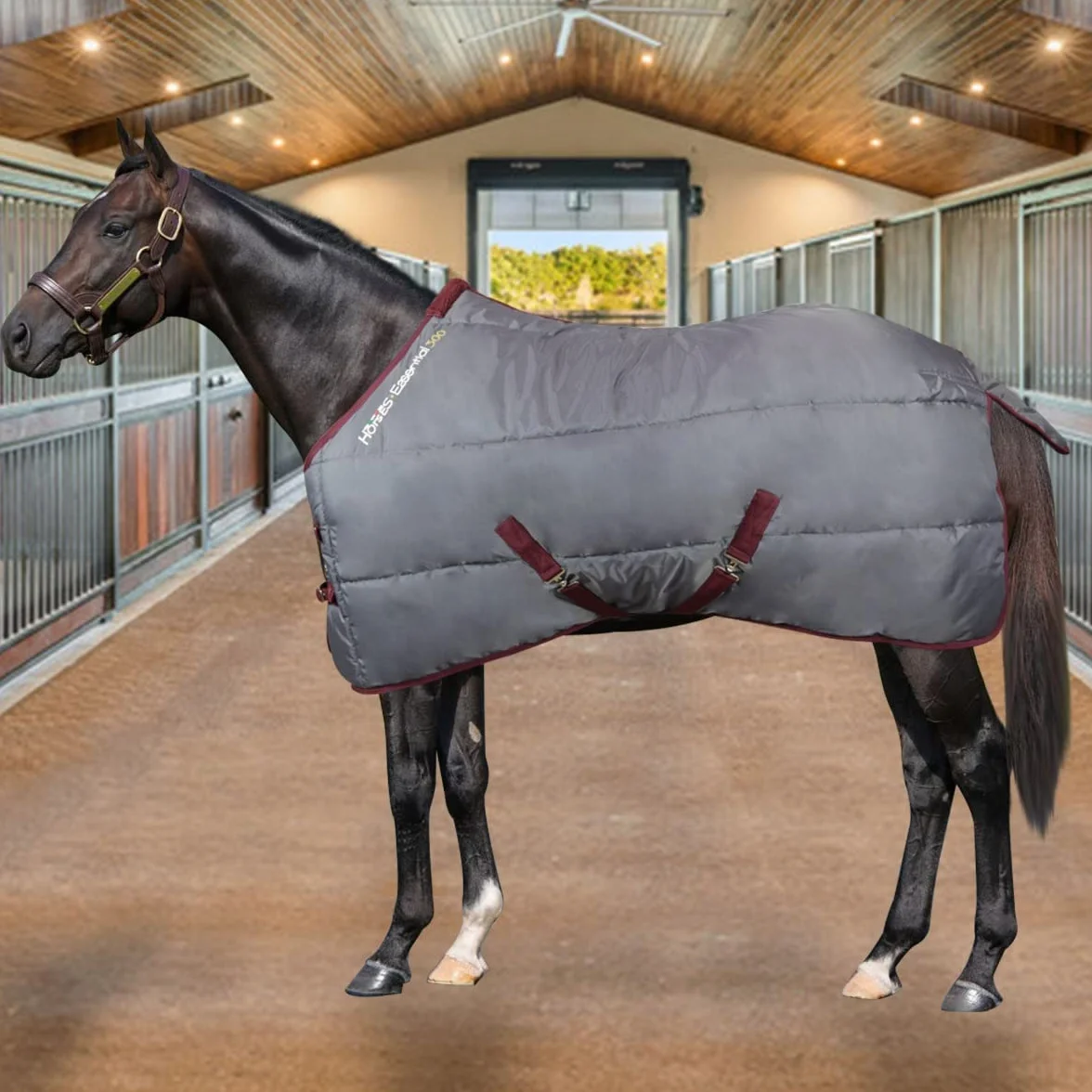Horses Coperta Box Essential 300g, Ottima Fattura, Utile per Proteggere Il Cavallo dagli Sbalzi di Temperatura, dalla Pioggia e dagli Insetti