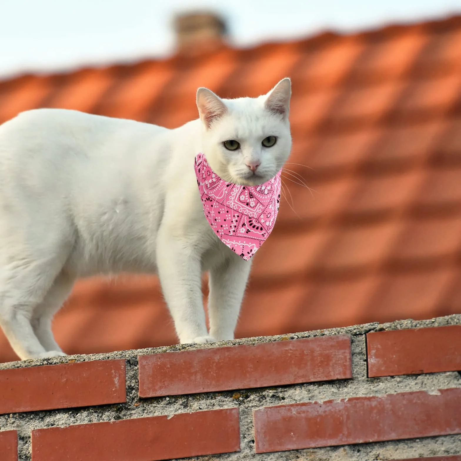 Collare a Bandana per Cani Regolabile Triangolare Lavabile 4 Pezzi Rosso Blu Nero Rosa