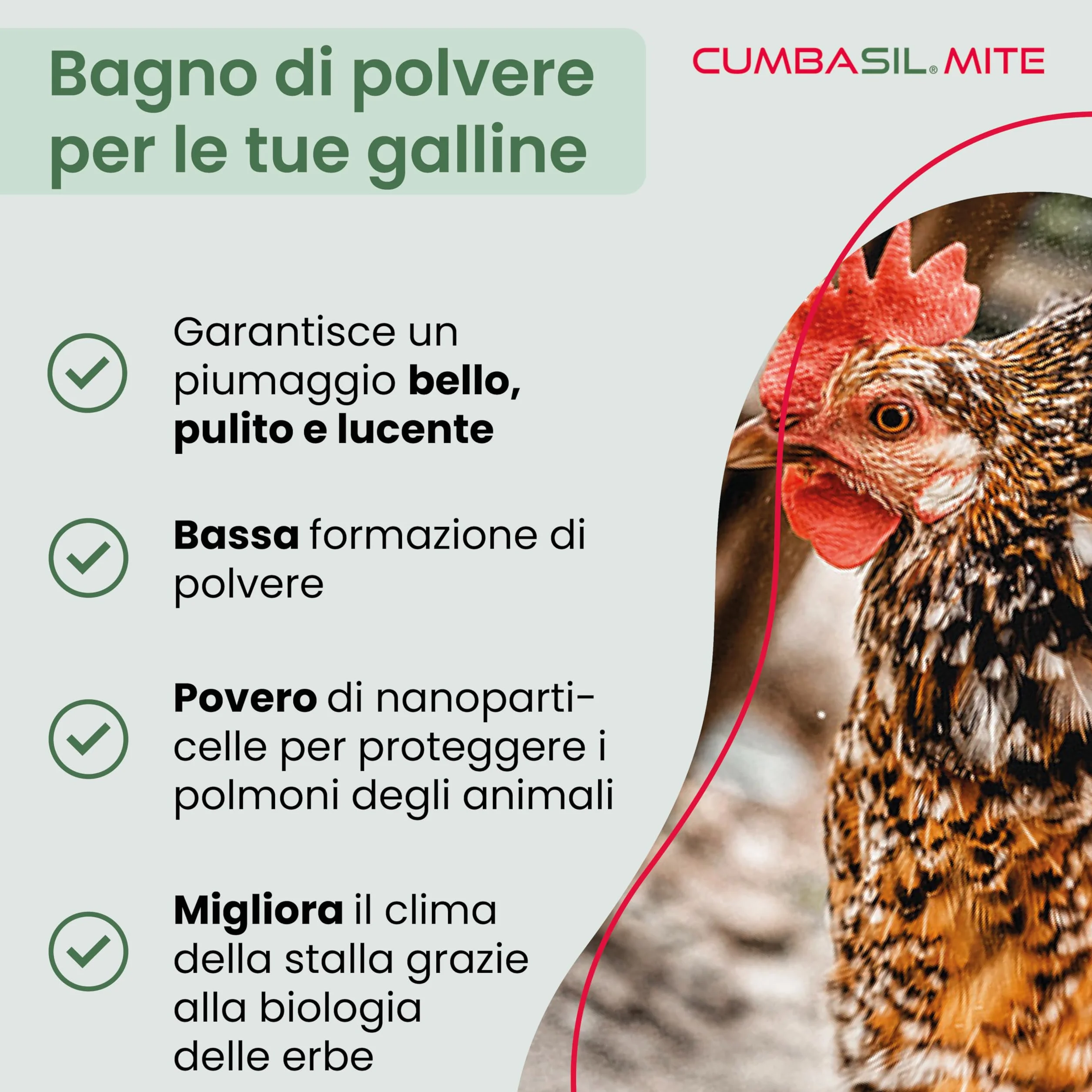 Bagno di polvere antiacaro per polli 25 kg, bagno di sabbia in polvere contro gli acari, rimedio antiacaro per polli, protezione antiacaro naturale, polvere