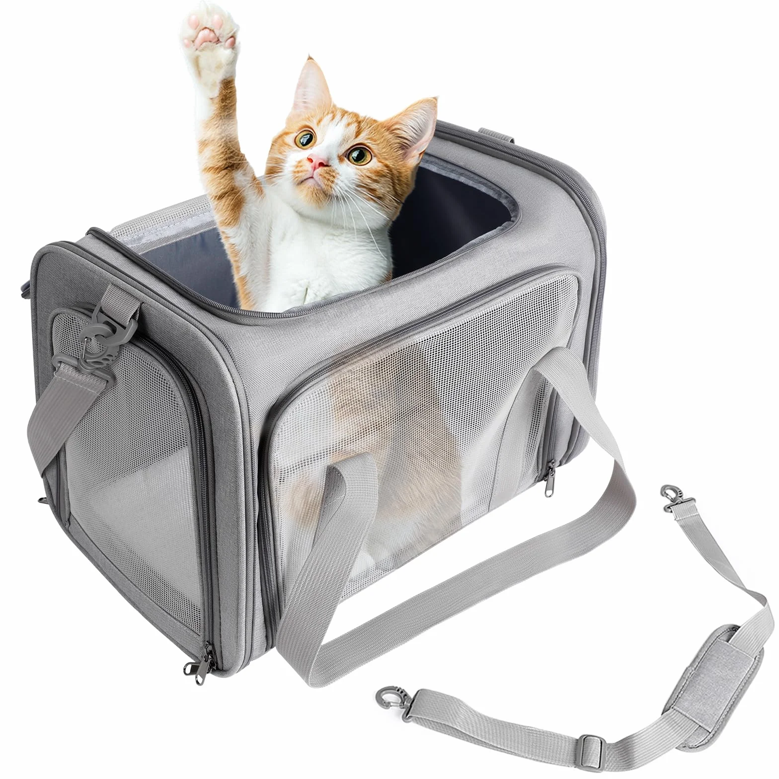 AiQInu Trasportino Gatto e Cani, Borsa da Trasporto Traspirante Pieghevole per Gatto, Trasportino per Gatti Capacità di Carico 3-6 Kg, Borsa da Viaggio per Cani Gatti di Media Taglia in Aereo