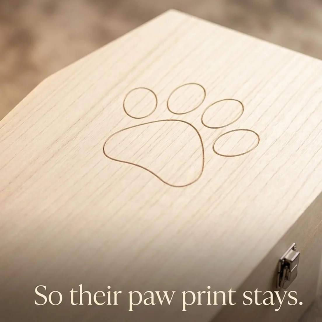 PrimoLiving bara per Animali Domestici in Legno Finitura Naturale - Misura L per Piccoli Animali Domestici - bara per Animali Domestici con Chiusura Fissa in Metallo - bara in Legno di Alta qualità
