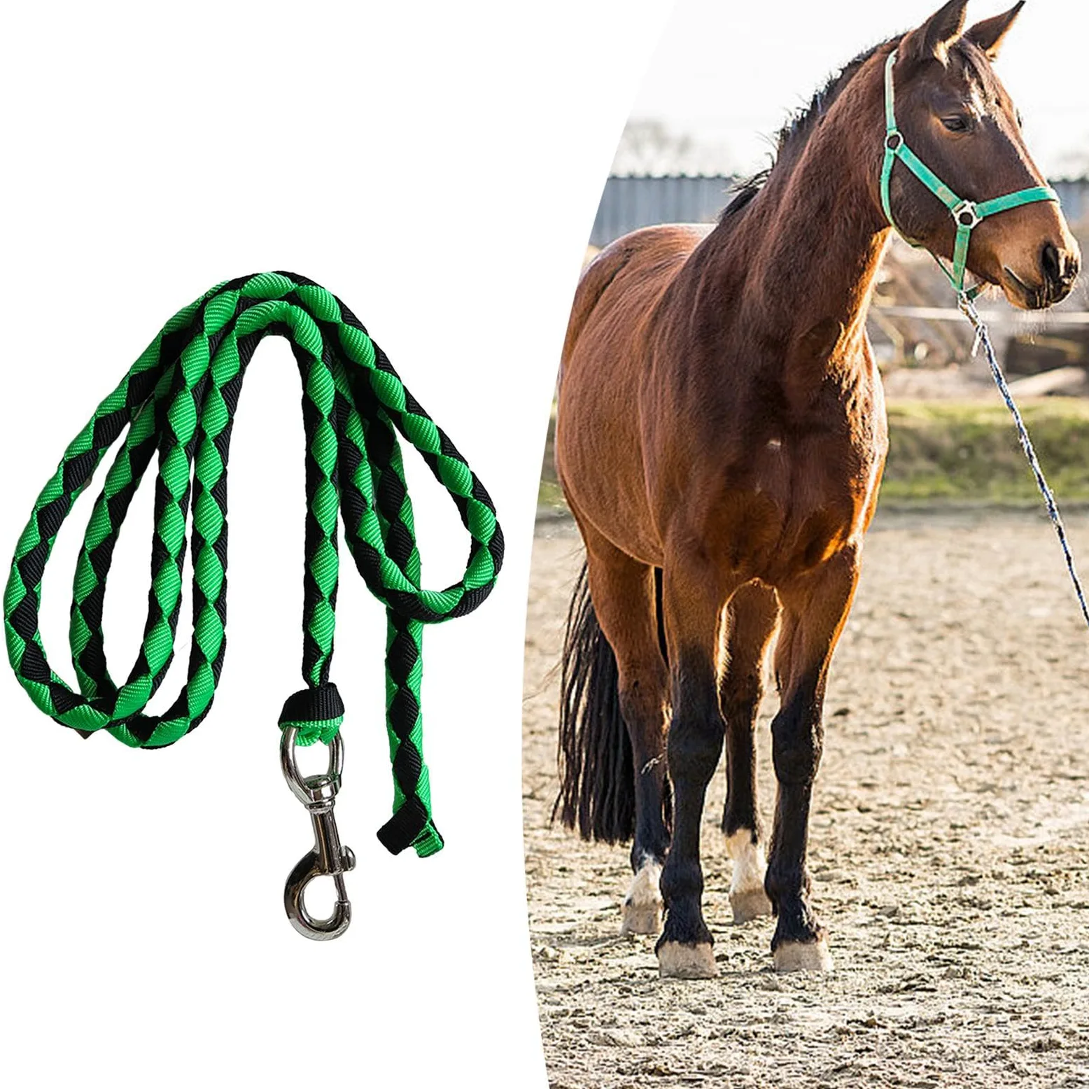 Corda per Cavalli con Moschettone Attrezzatura Equestre Guinzaglio Resistente per Cavalli per Bestiame Corda Intrecciata per Cavalli, Verde 3 Metri