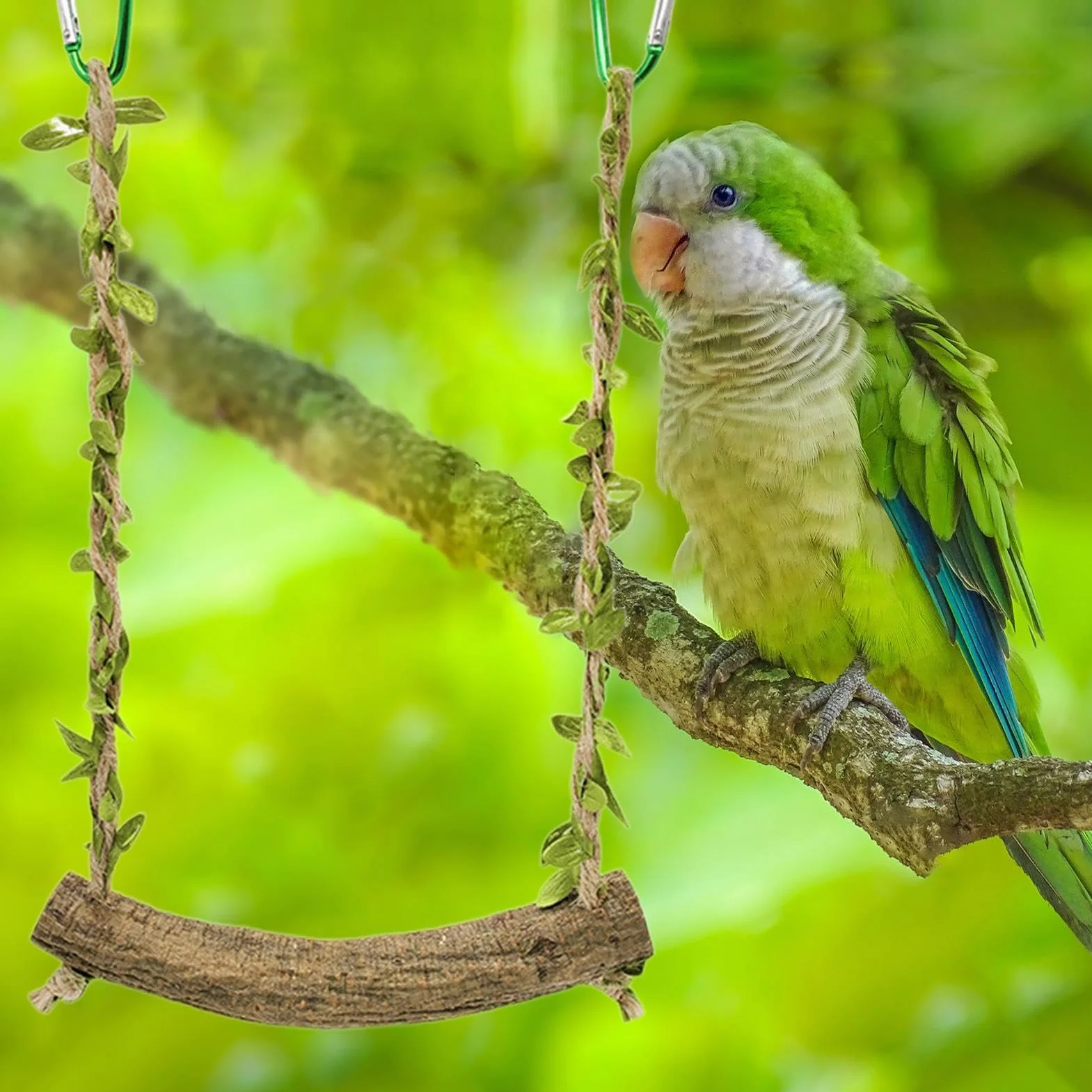 Altalena per uccelli giocattolo da masticare per pappagalli per gabbie