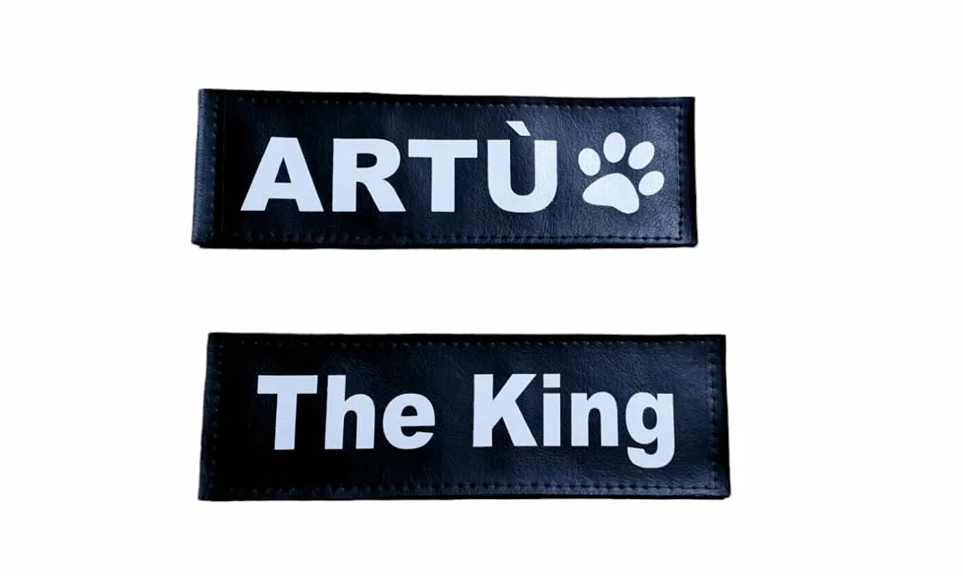 Lacucciadifido Etichette Personalizzate 16 x 5 cm Per Pettorina Cane Julius K9