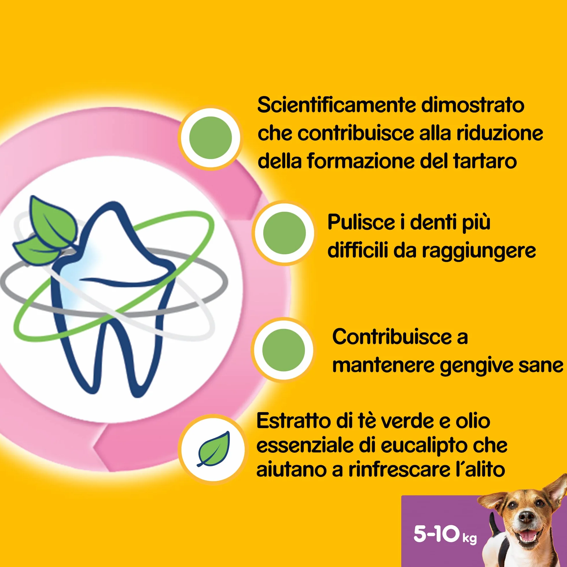 Pedigree Dentastix Fresh 112 Snack per la Igiene Orale (Cane Piccolo 5-10 kg) 440 g 28 Pezzi - 4 Confezioni da 28 Pezzi (112 Pezzi totali)