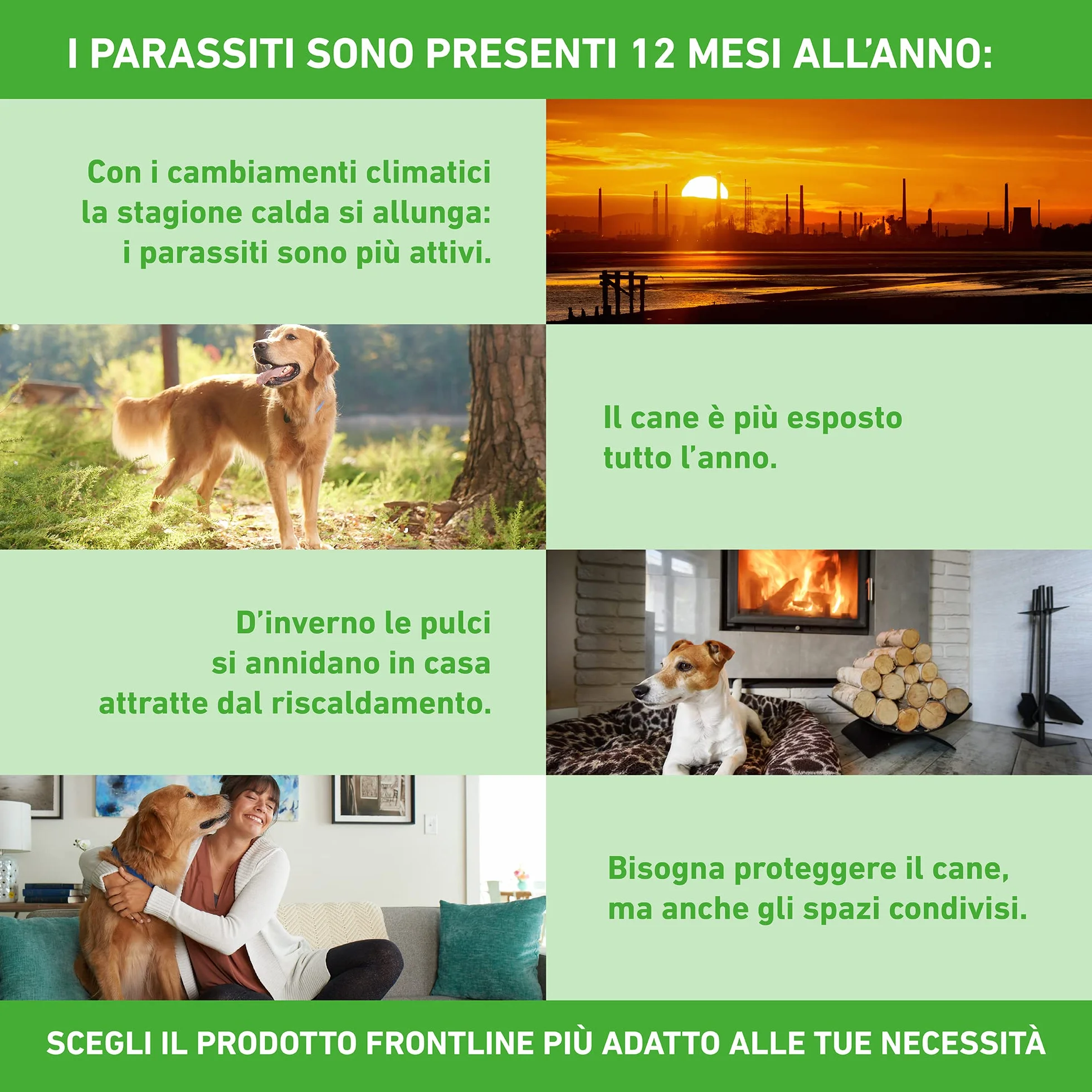 FRONTLINE Combo 3 Pipette Antiparassitario per Cani e Cuccioli Cane Taglia S (2-10 Kg) Antipulci Lunga Durata