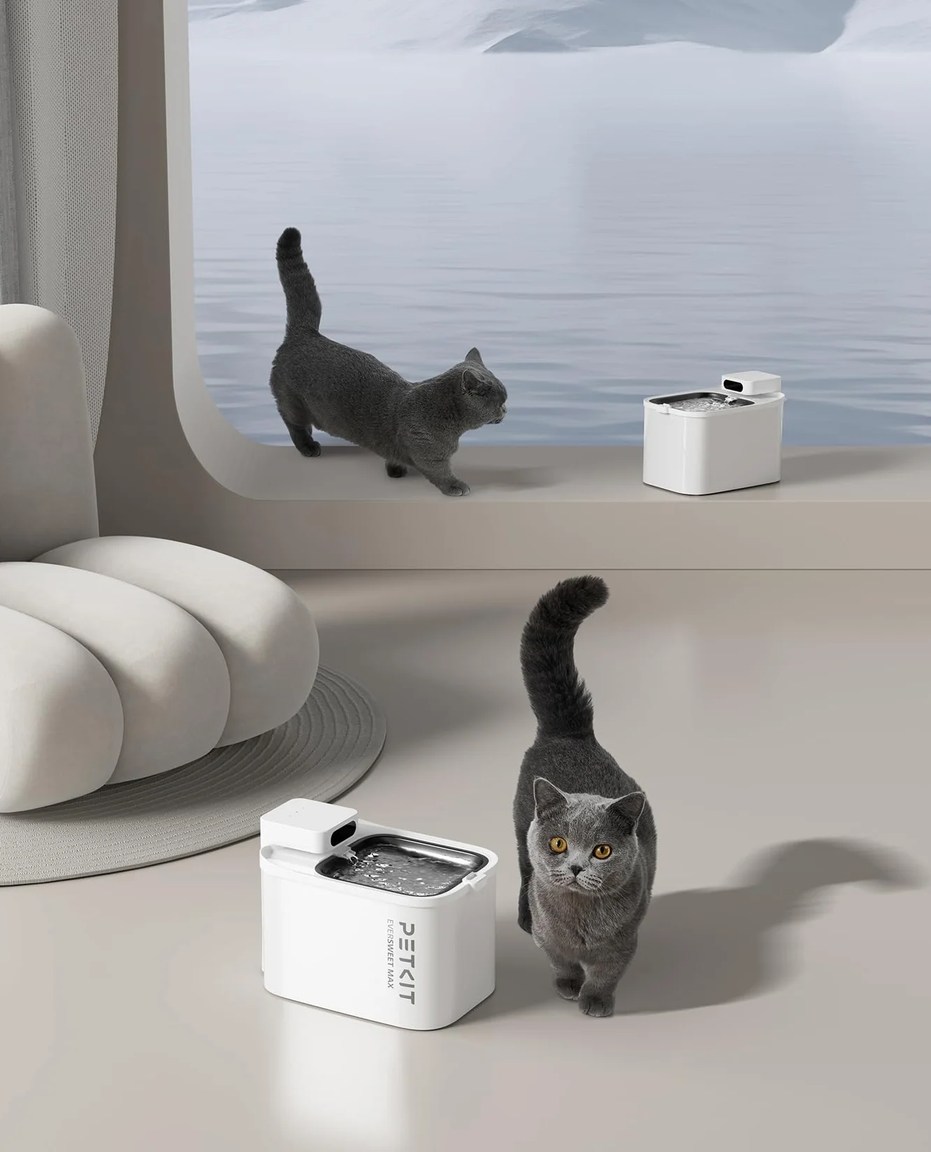 PETKIT EVERSWEET MAX Filtri, Filtri Fontanella per Gatti, 5 Pezzi Filtro per Fontana per Gatti,Carbone Attivo,Filtrazione Altamente Efficiente
