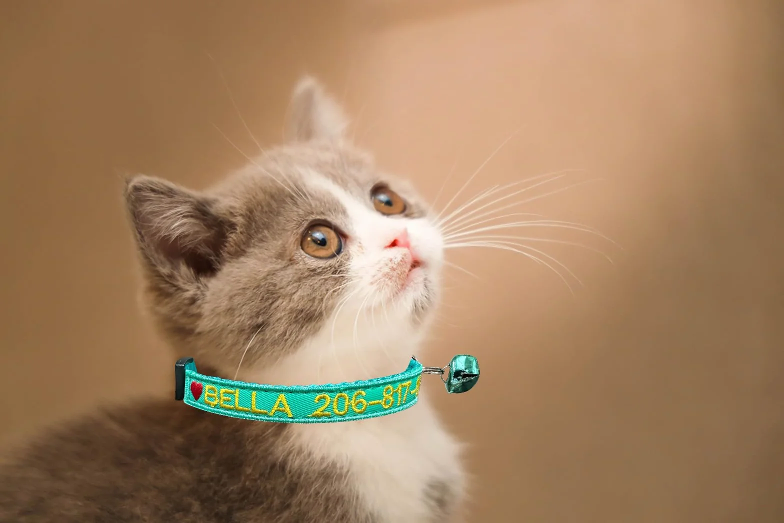 2 Pezzi Collare per gatti personalizzato, collari per gatti identificativi ricamati con nome e numero di telefono, collare in nylon per fibbia di rilascio di sicurezza con campanello