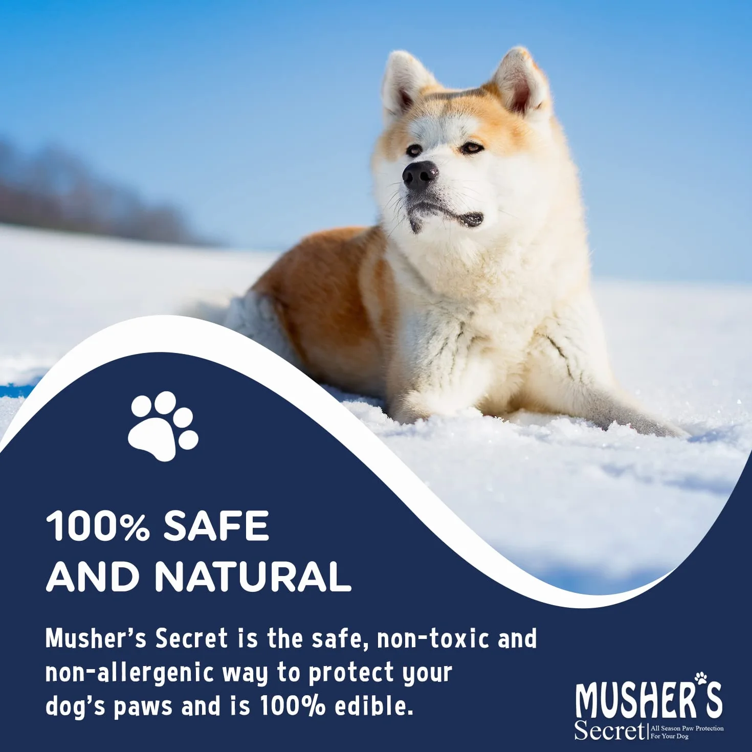 Musher's Secret Balsamo Zampe Cane 60g Protezione Naturale contro Ghiaccio Sale Asfalto