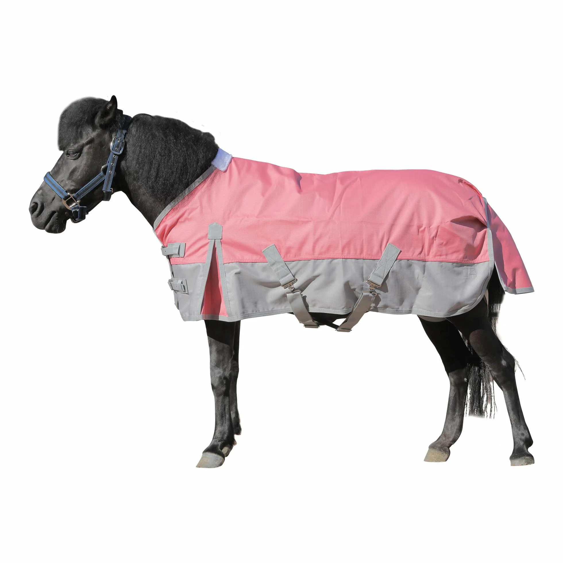 Mini Coperta da Paddock per Puledro Pony Shetland – Impermeabile 1200D Leggero 0g Telo Antipioggia per Cavallo in Miniatura Asino e Sezione A (Senza Imbottitura) Rosa 107 cm