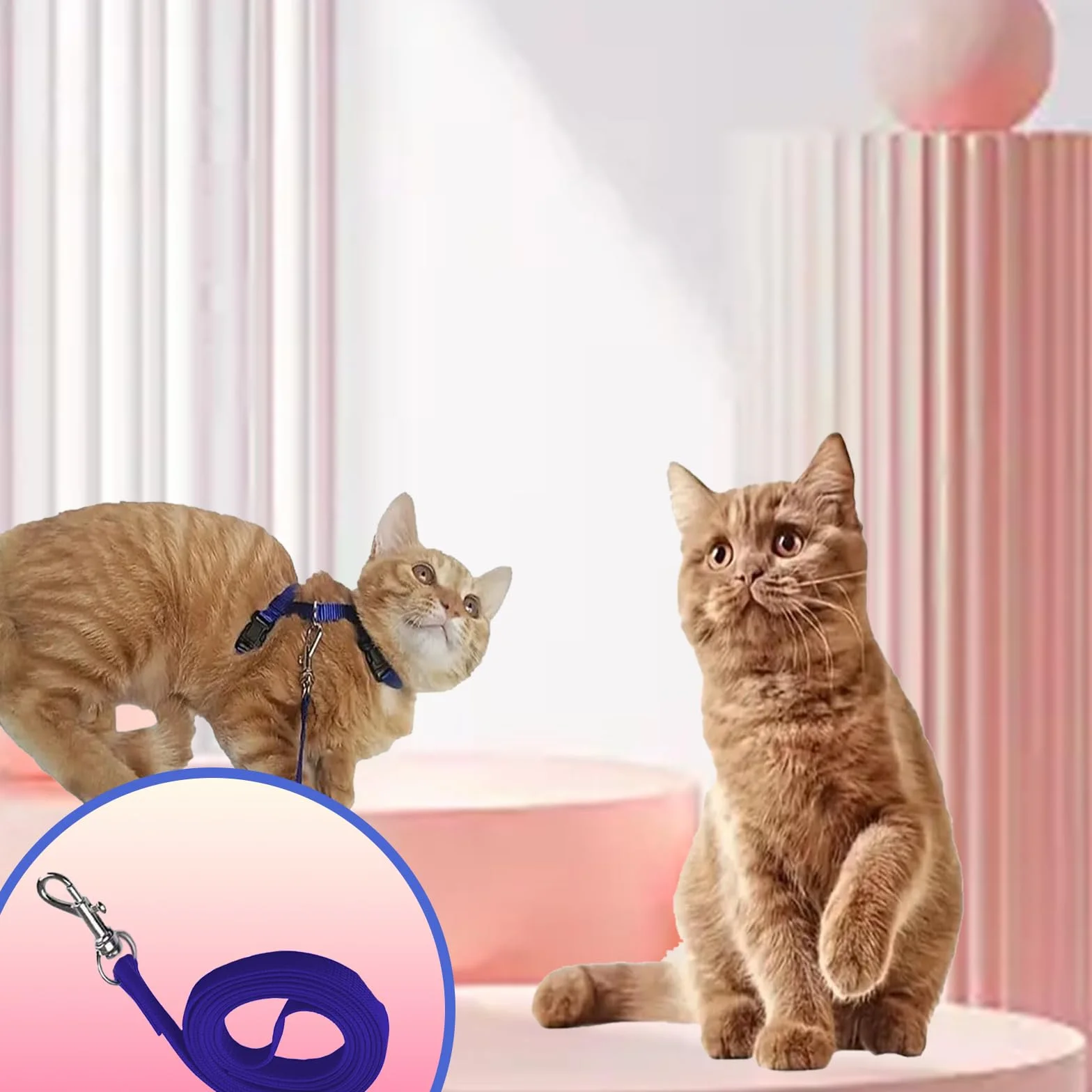 Pettorina per Gatti con Guinzaglio,Guinzaglio per Gatti Cordino Comodo Allungabile Regolabile Imbragatura,Corda di sicurezza per gatti e gattini,blu