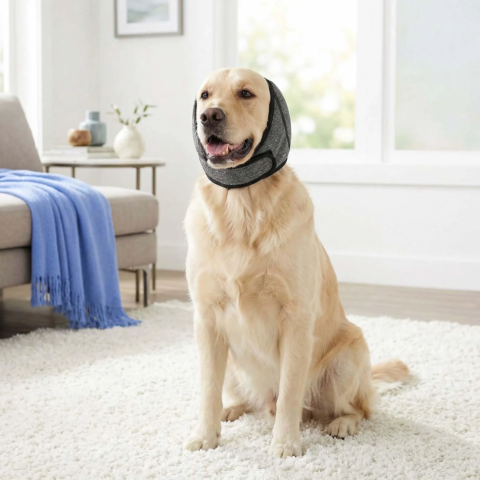 Paraorecchie per Cani Antirumore Fascia Elastica Calmante Ansia Fuochi d'Artificio Tuoni Protezione Orecchie Bagno Toelettatura Inverno Grigio M