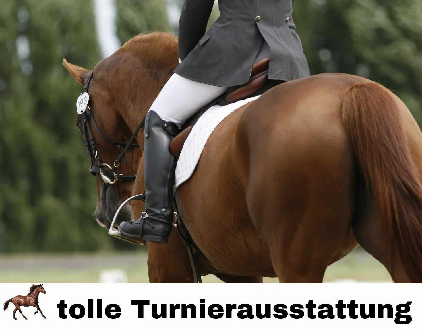 Donna Plastron Crystal Equitazione/Dressur Harry`s Horse