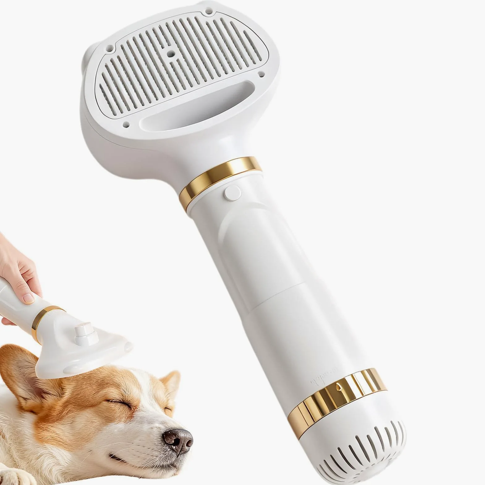 Spazzola Asciugacapelli Per Cani Pettine Rimuovi Pelo Da Toelettatura | Spazzola Asciugatrice Per Con Temperatura Regolabile Adatto A Casa Appartamento Viaggio Doccia Bagno